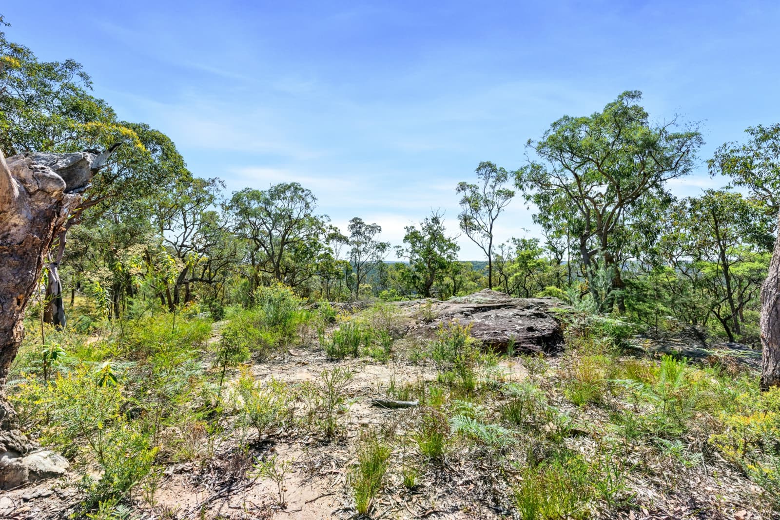 679 Cliftonville Road,Lower Portland, Lower Portland - Thumbnail 3