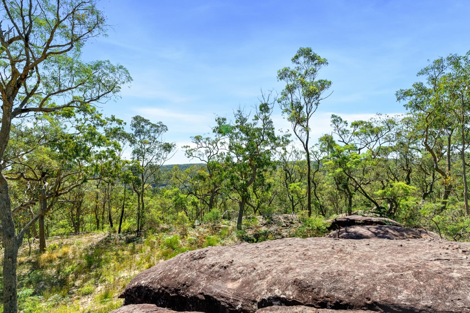 679 Cliftonville Road,Lower Portland, Lower Portland - Thumbnail 4