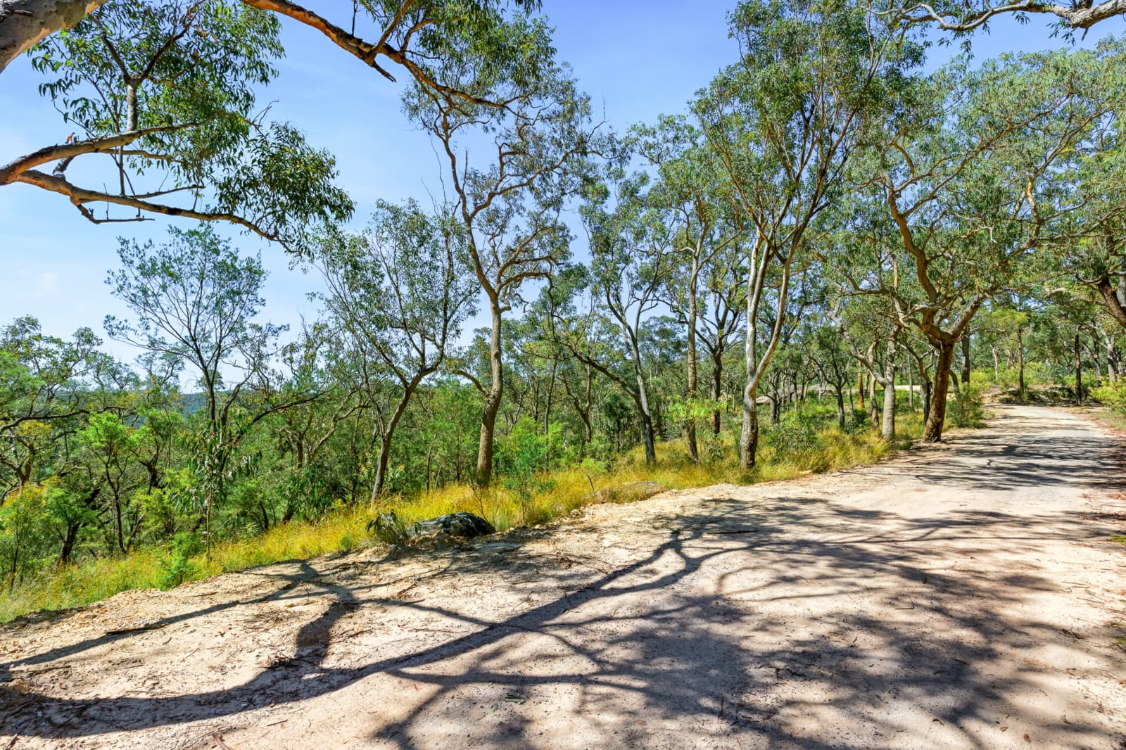 679 Cliftonville Road,Lower Portland, Lower Portland - Thumbnail 5