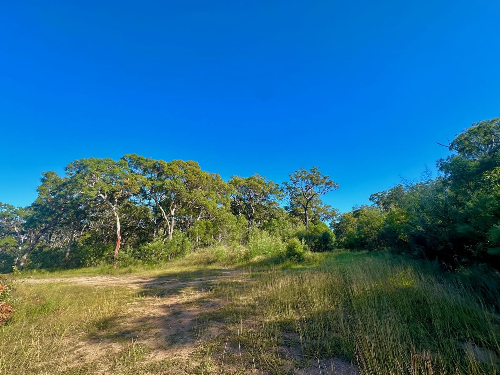 454 Lady Elliot Drive,Round Hill, Round Hill - Thumbnail 7