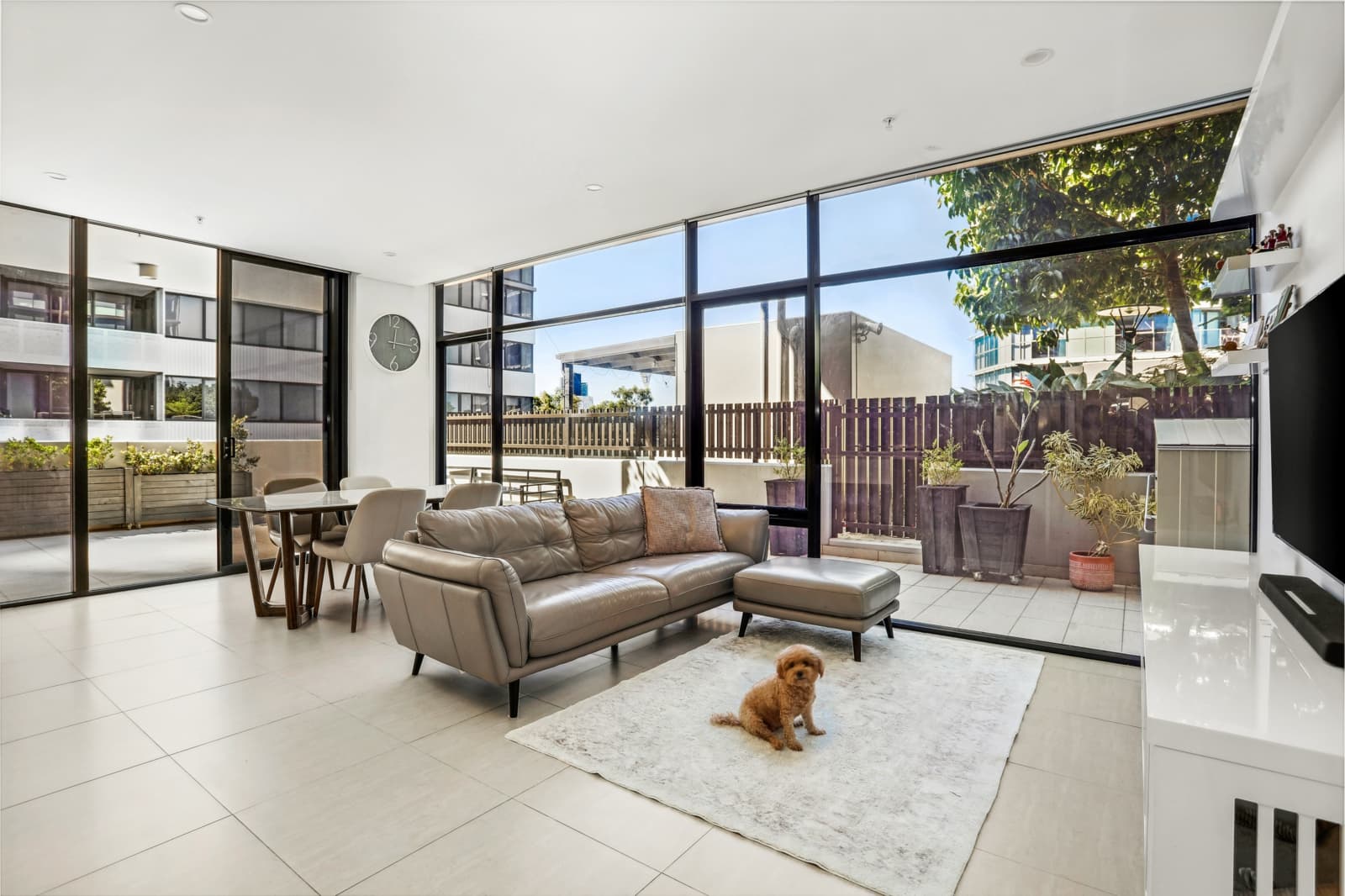 441/11 Canning Street,Lidcombe, Lidcombe - Image 1