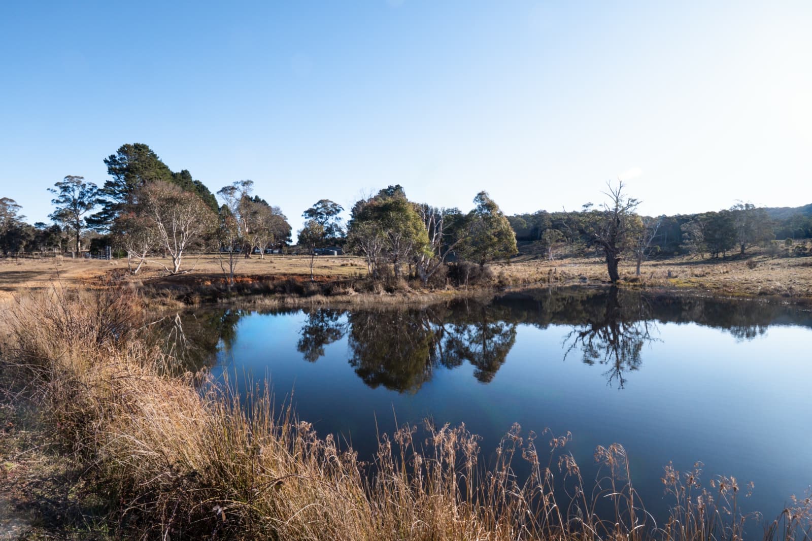 1974 Tuross Road,Kybeyan, Kybeyan - Thumbnail 4