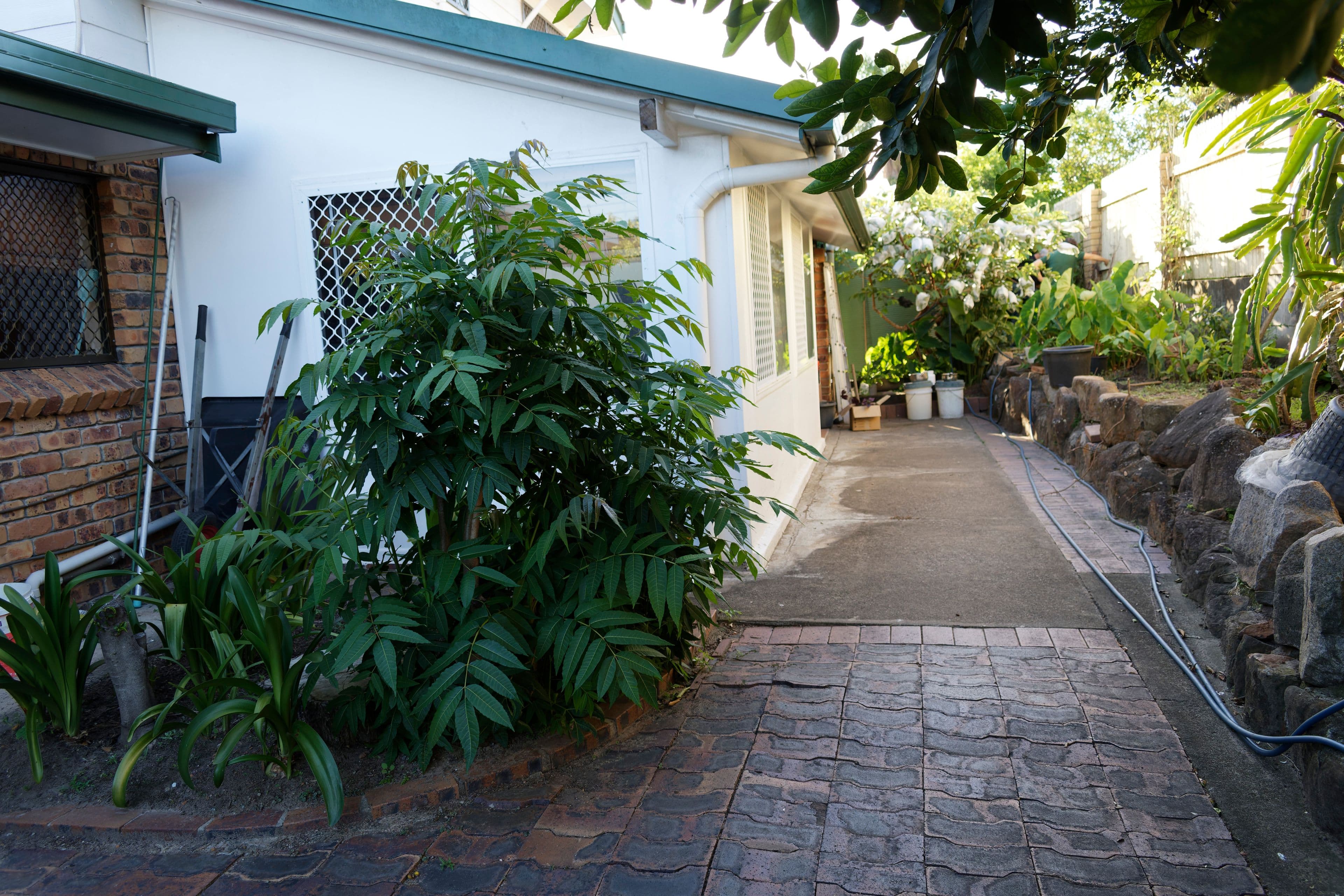 30 Driftwood Street, Sunnybank Hills QLD 4109, Sunnybank Hills - Thumbnail 4