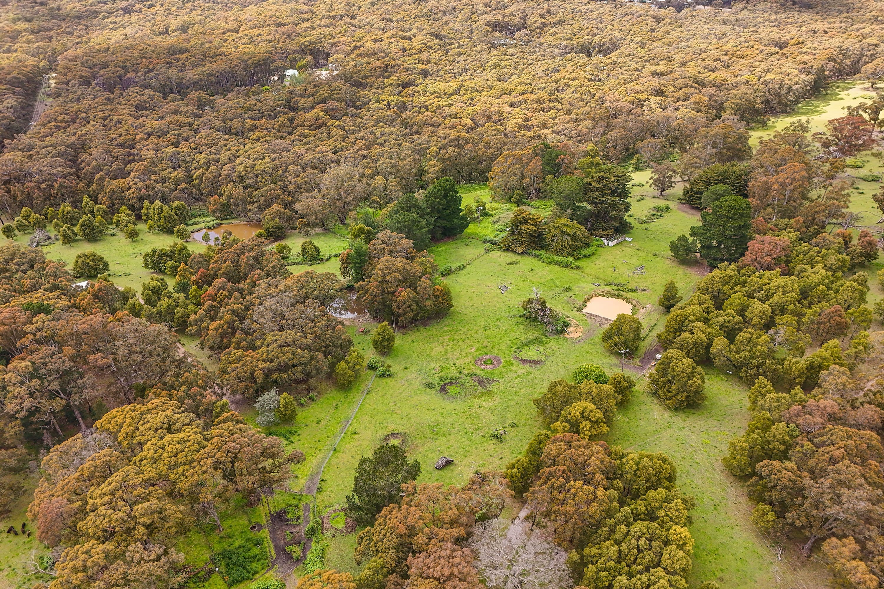 135 Boldiston Road, Woodend VIC 3442, Woodend - Thumbnail 6