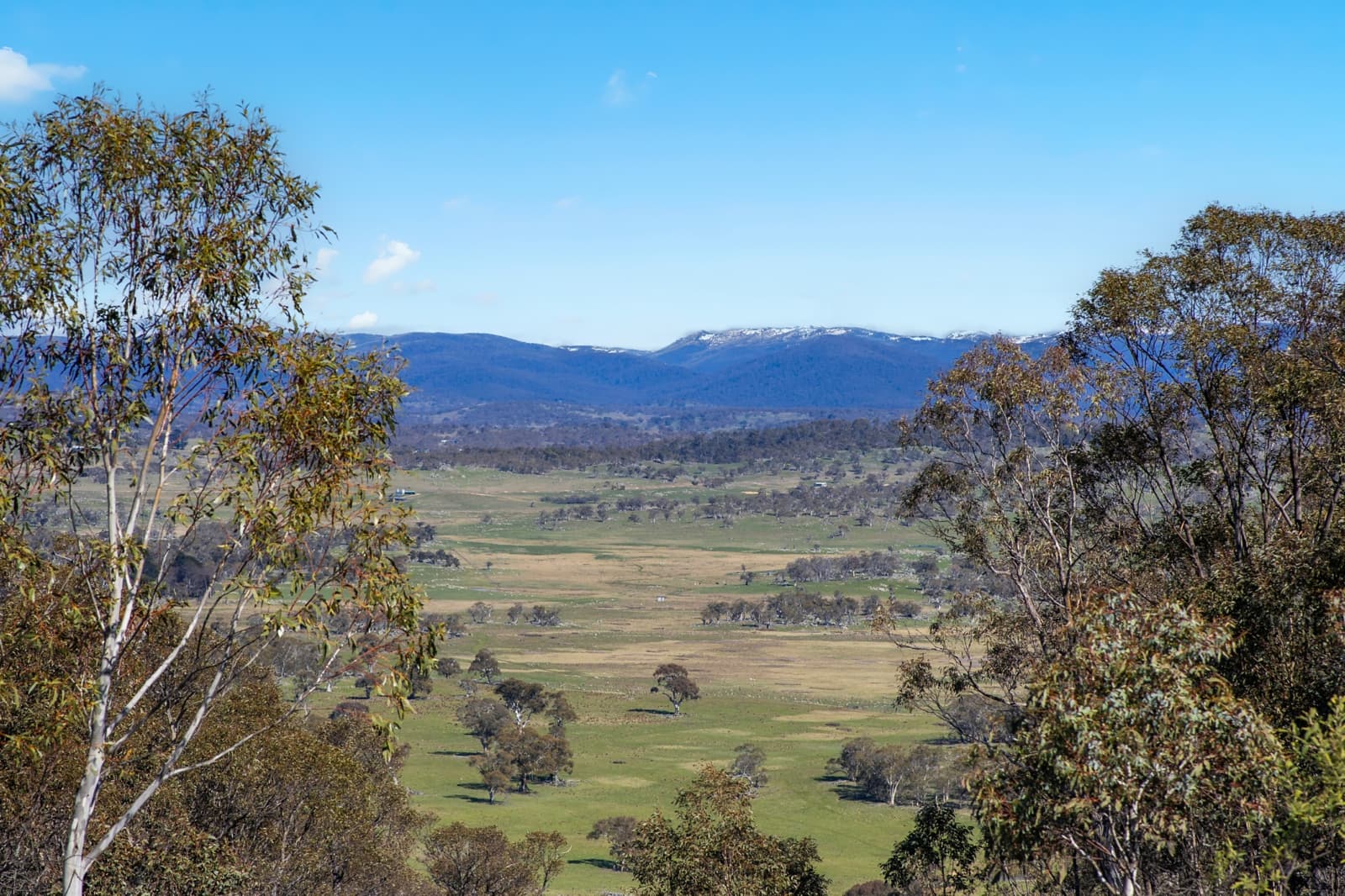 421 Old Settlers Road,Jindabyne, Jindabyne - Thumbnail 2