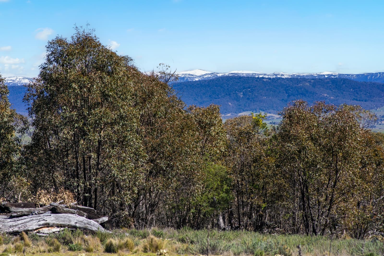421 Old Settlers Road,Jindabyne, Jindabyne - Thumbnail 3