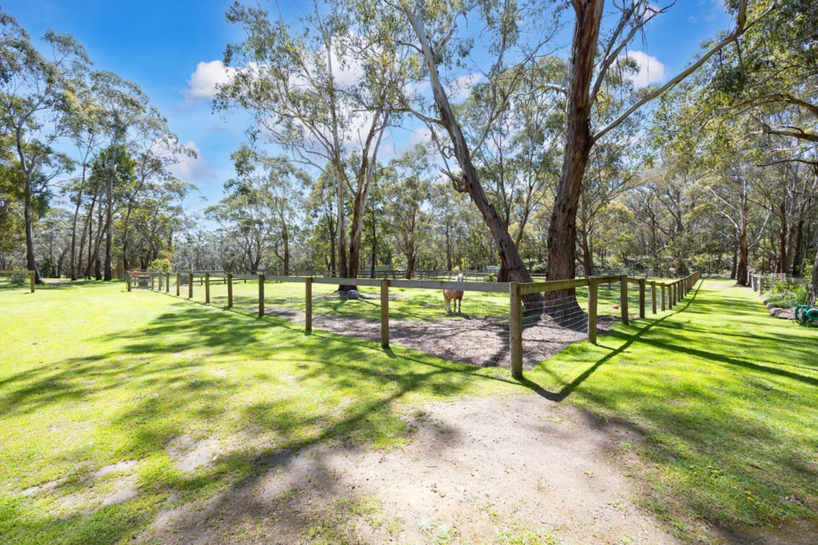1252 Old Melbourne Road,Gordon, Gordon - Thumbnail 2