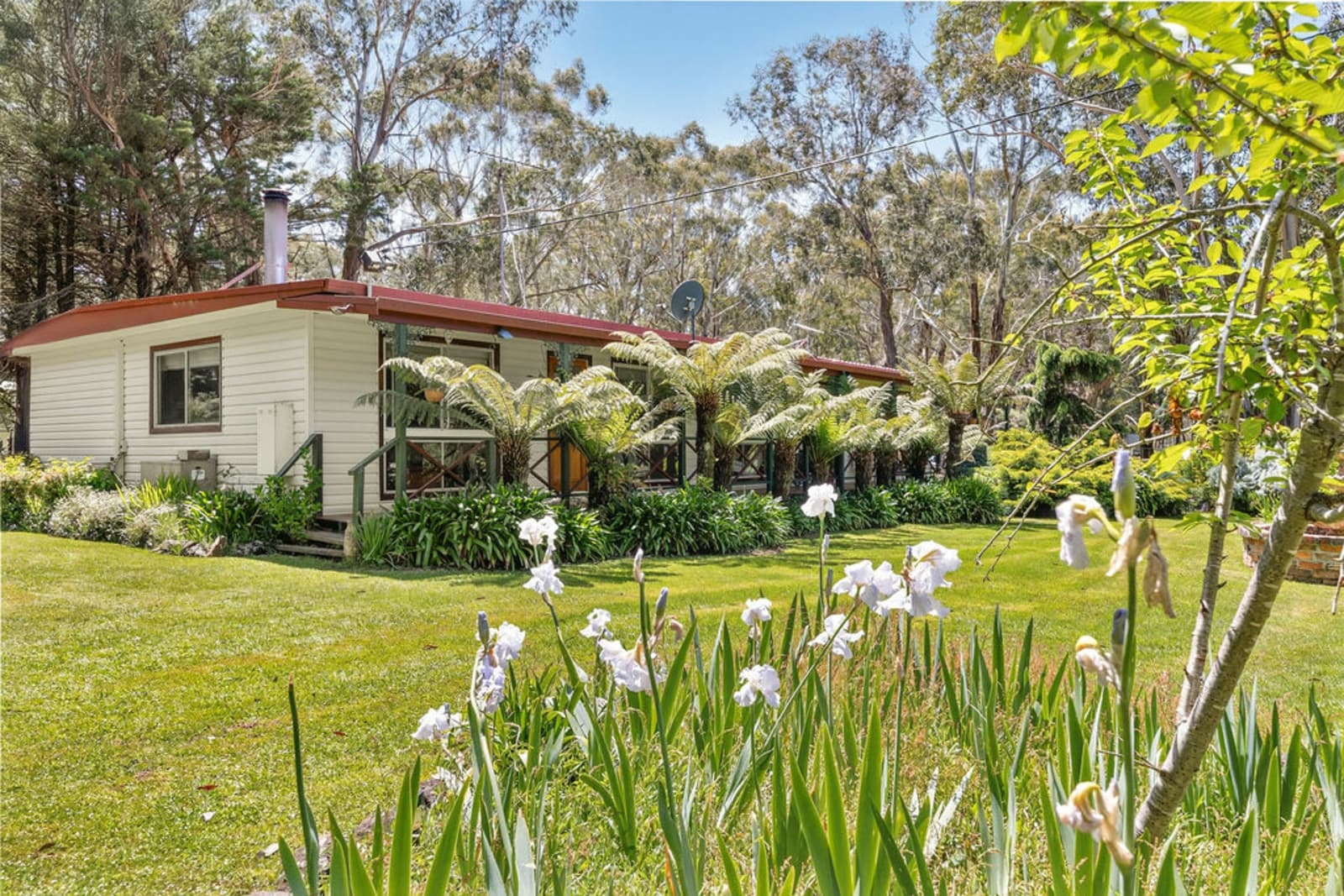 1252 Old Melbourne Road,Gordon, Gordon - Thumbnail 4