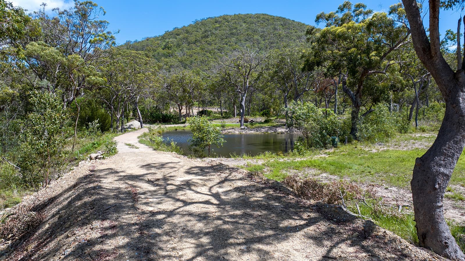 52 McGhee Crescent,Agnes Water, Agnes Water - Thumbnail 2
