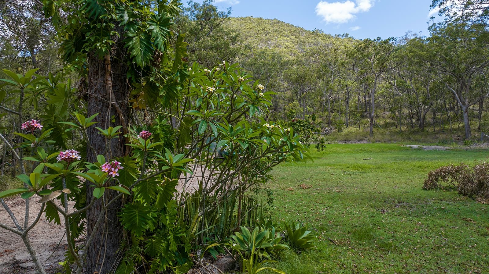 52 McGhee Crescent,Agnes Water, Agnes Water - Thumbnail 7