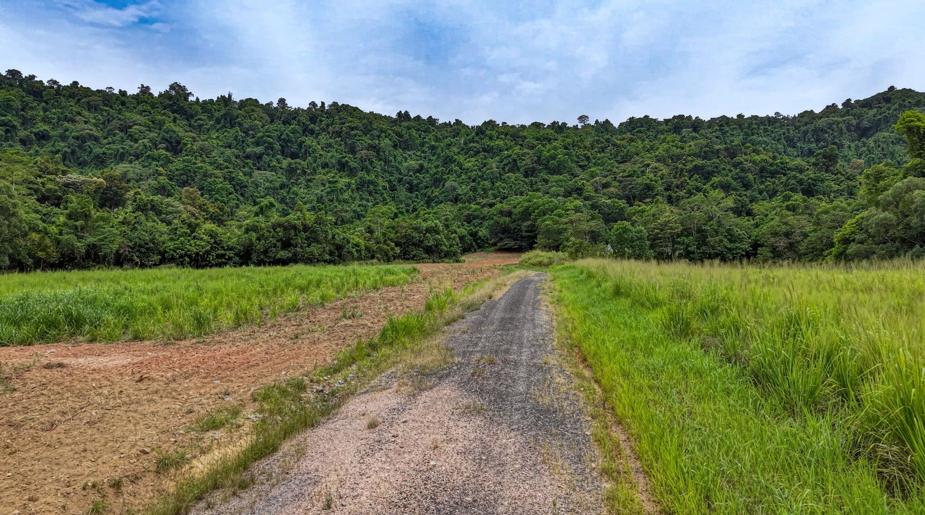 Lot 299 Bruce Highway, Friday Pocket QLD 4855, Friday Pocket - Thumbnail 4