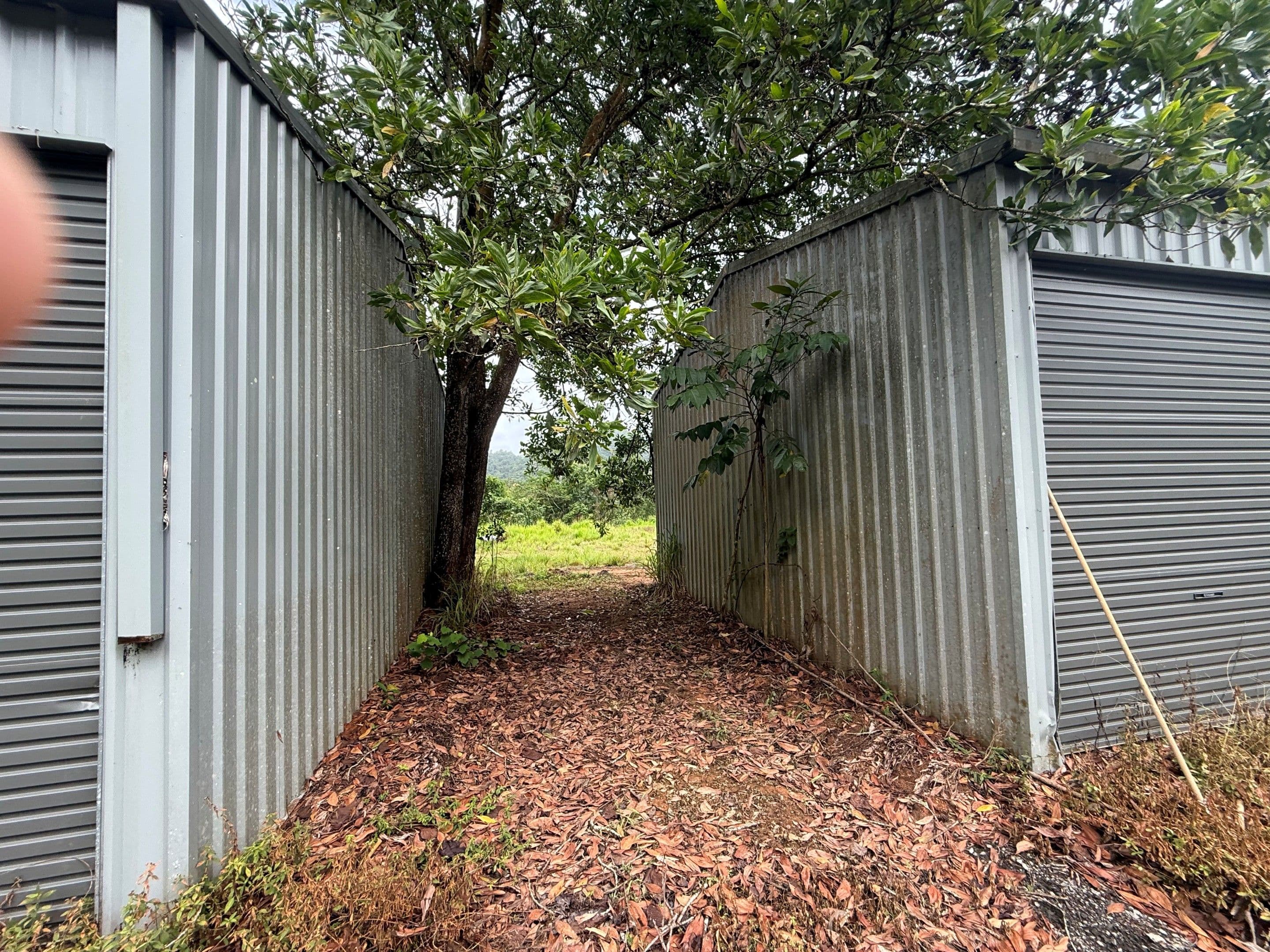 Lot 299 Bruce Highway, Friday Pocket QLD 4855, Friday Pocket - Thumbnail 7
