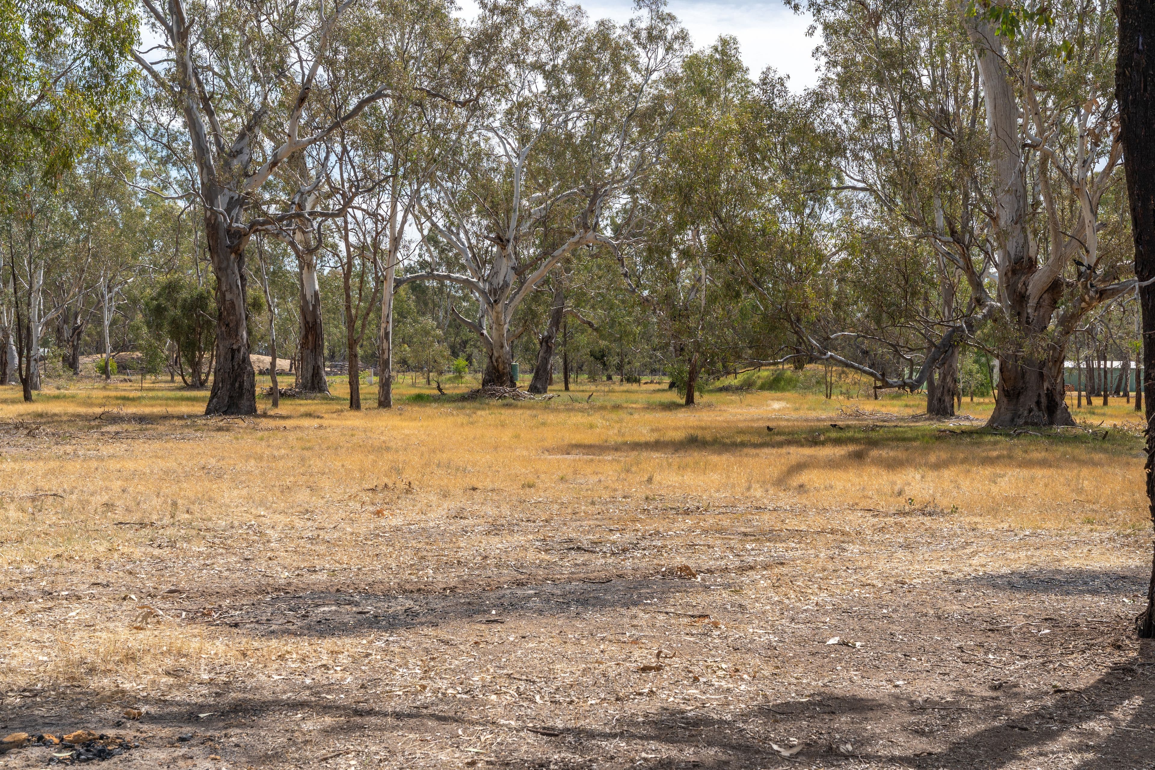 29 Taylor Drive, Miepoll VIC 3666, Miepoll - Thumbnail 4