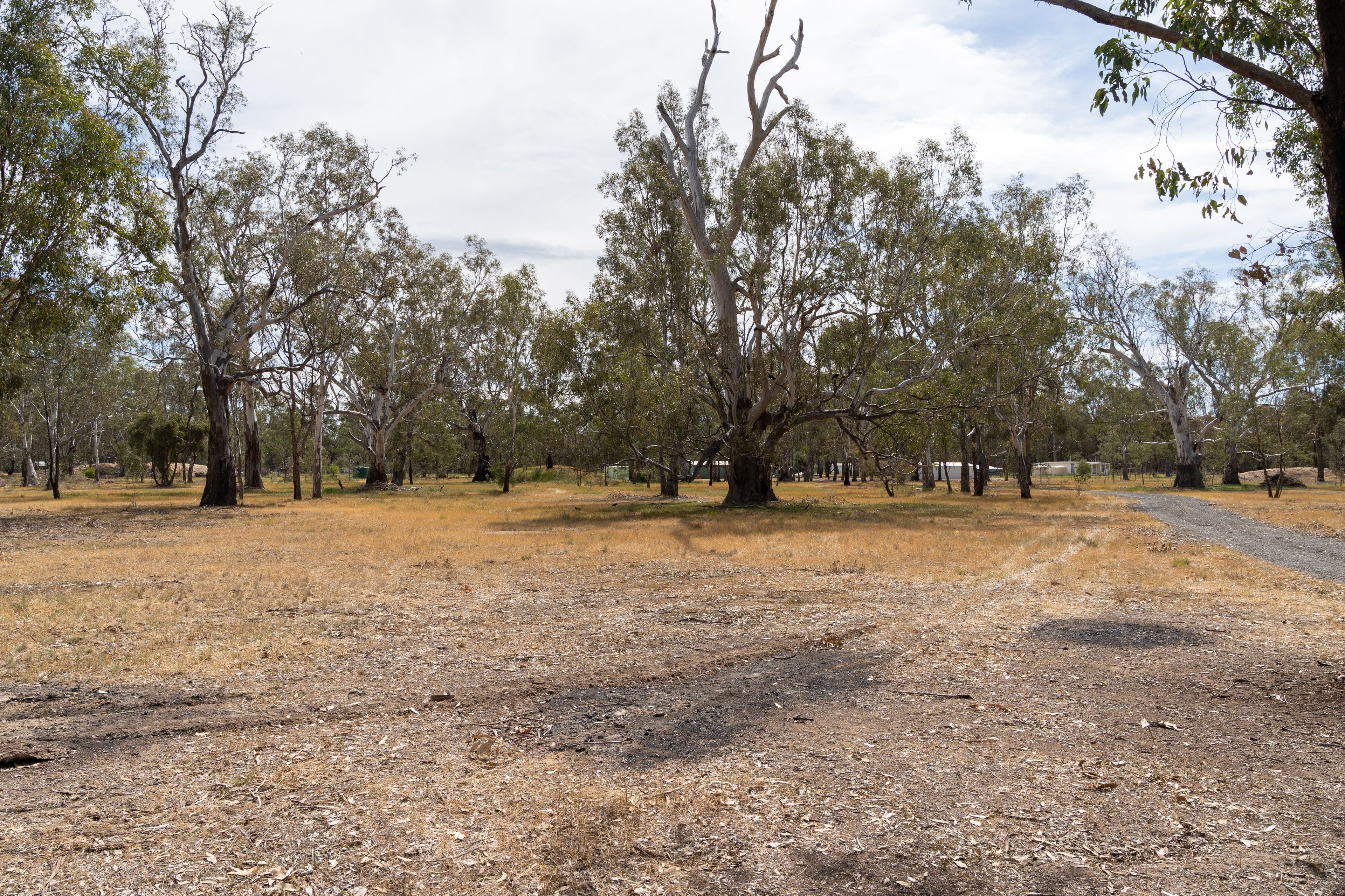 29 Taylor Drive, Miepoll VIC 3666, Miepoll - Thumbnail 5