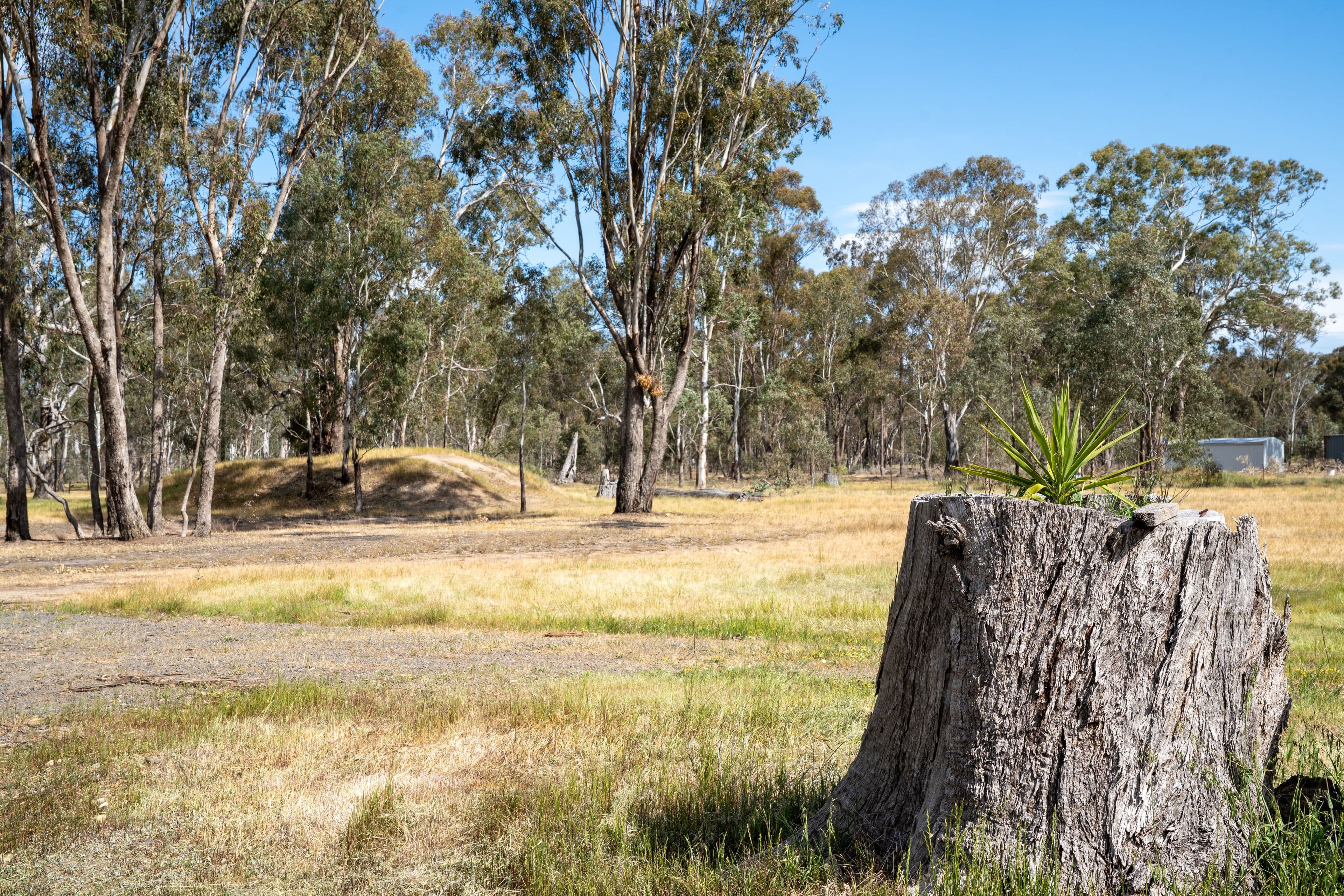 29 Taylor Drive, Miepoll VIC 3666, Miepoll - Thumbnail 7