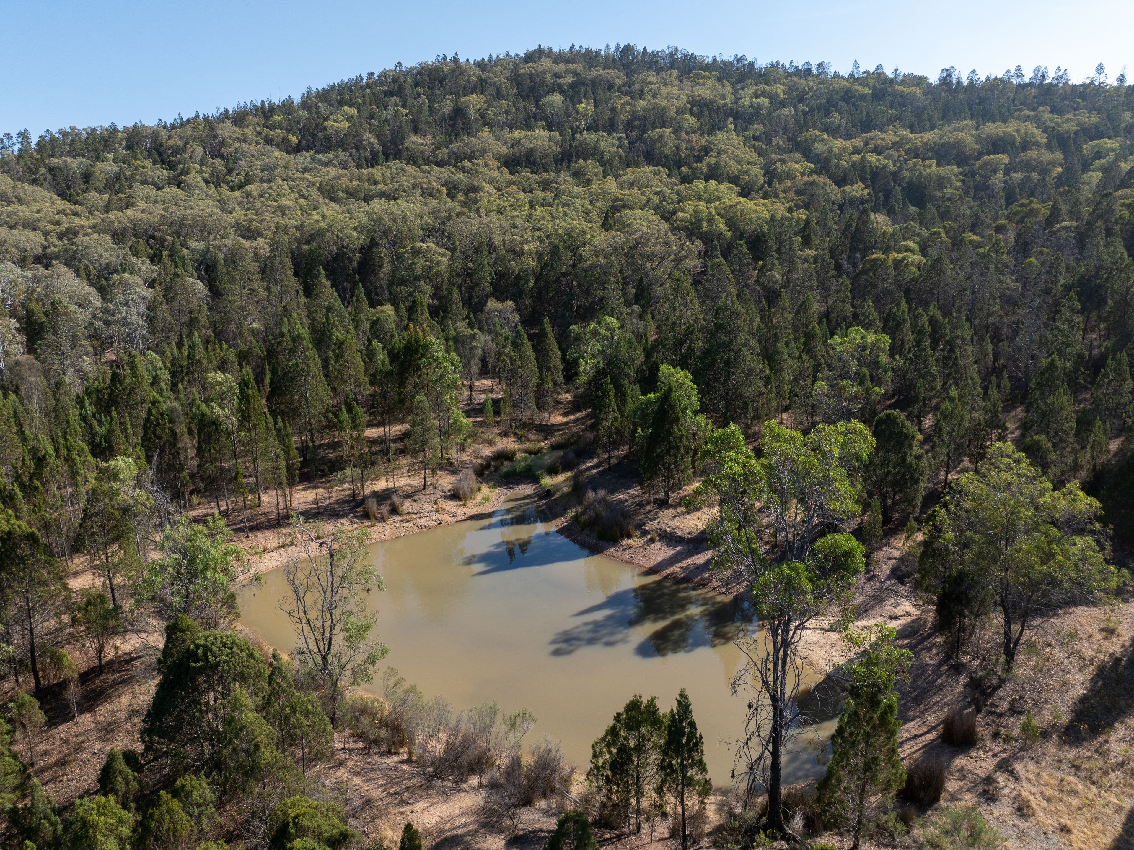 29 Nabiac Street, Nabiac, Manildra - Thumbnail 2