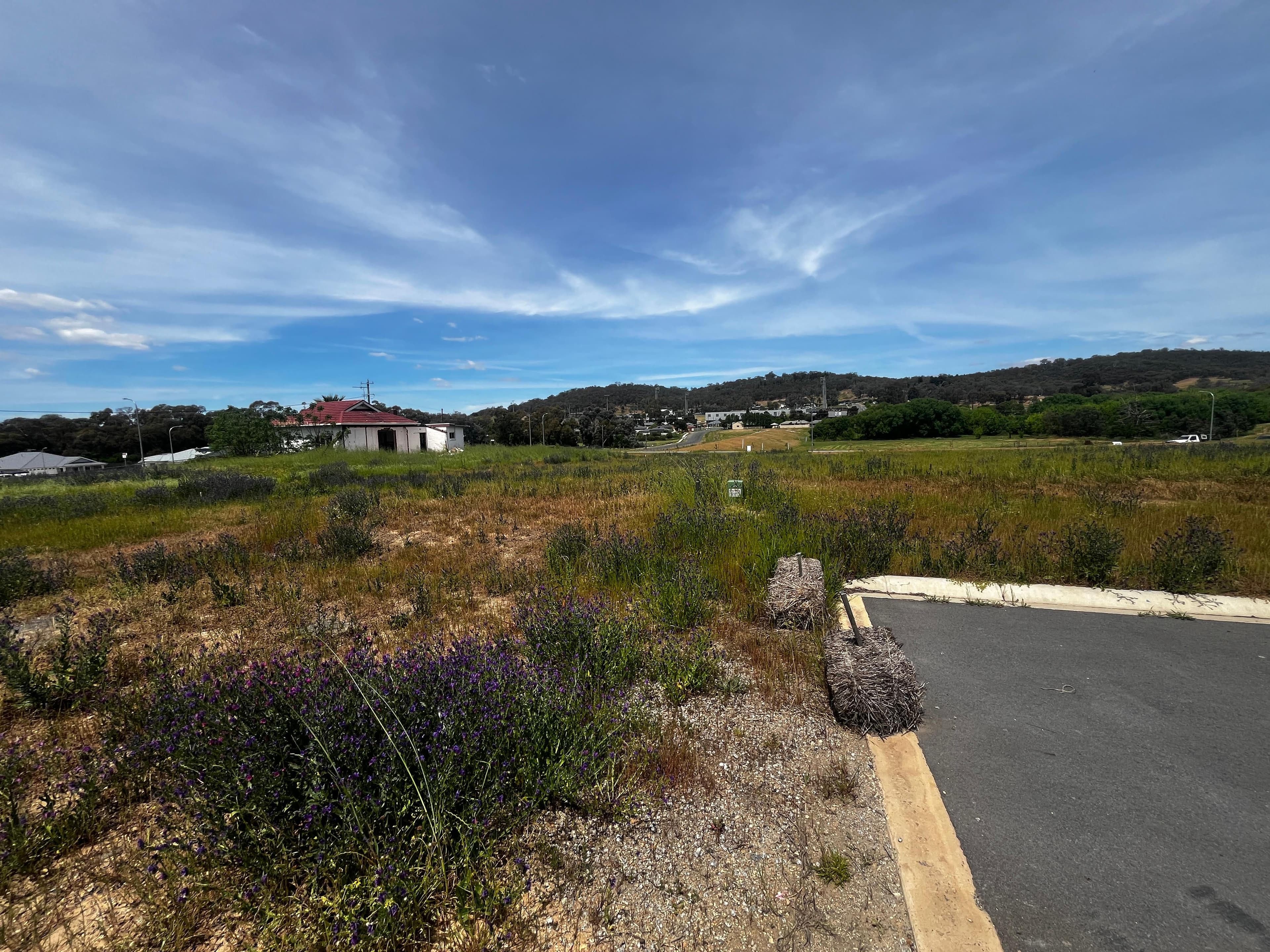 24 Frew Court, Hamilton Valley NSW 2641, Hamilton Valley - Thumbnail 2