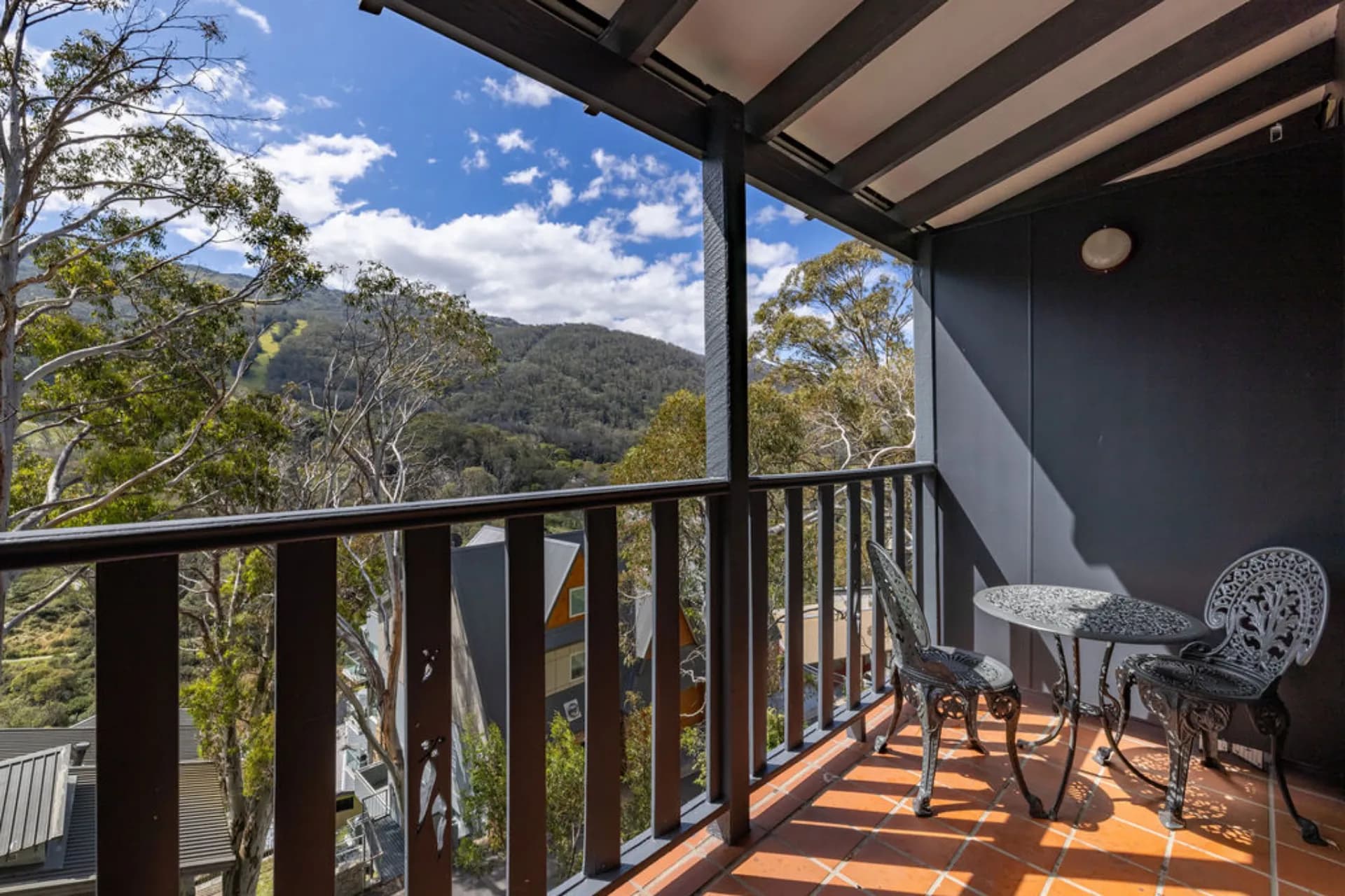 8/5 Bobuck Lane, Thredbo, NSW, Thredbo - Thumbnail 2