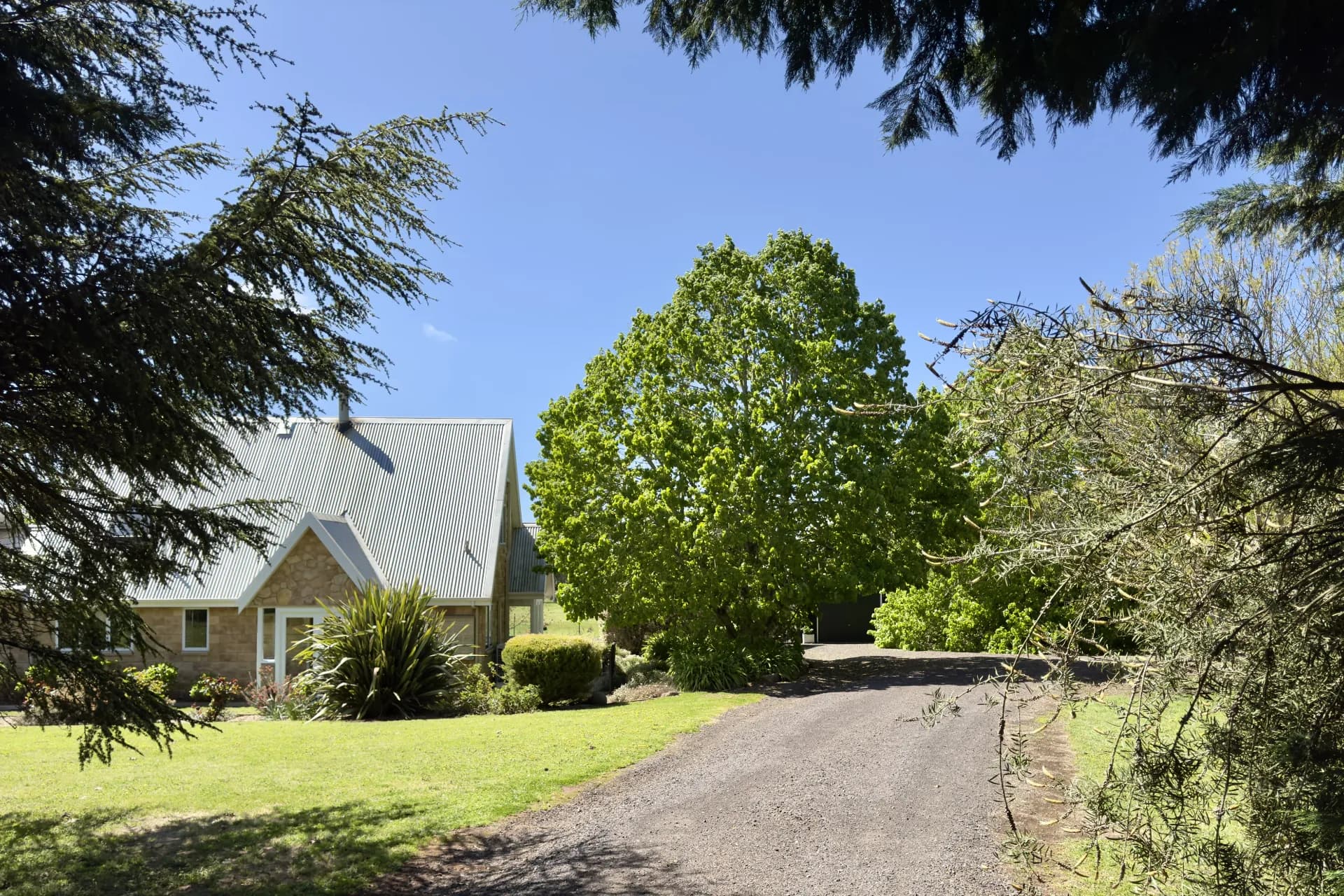 299 Stag Road, Kingston, VIC, Kingston - Thumbnail 3