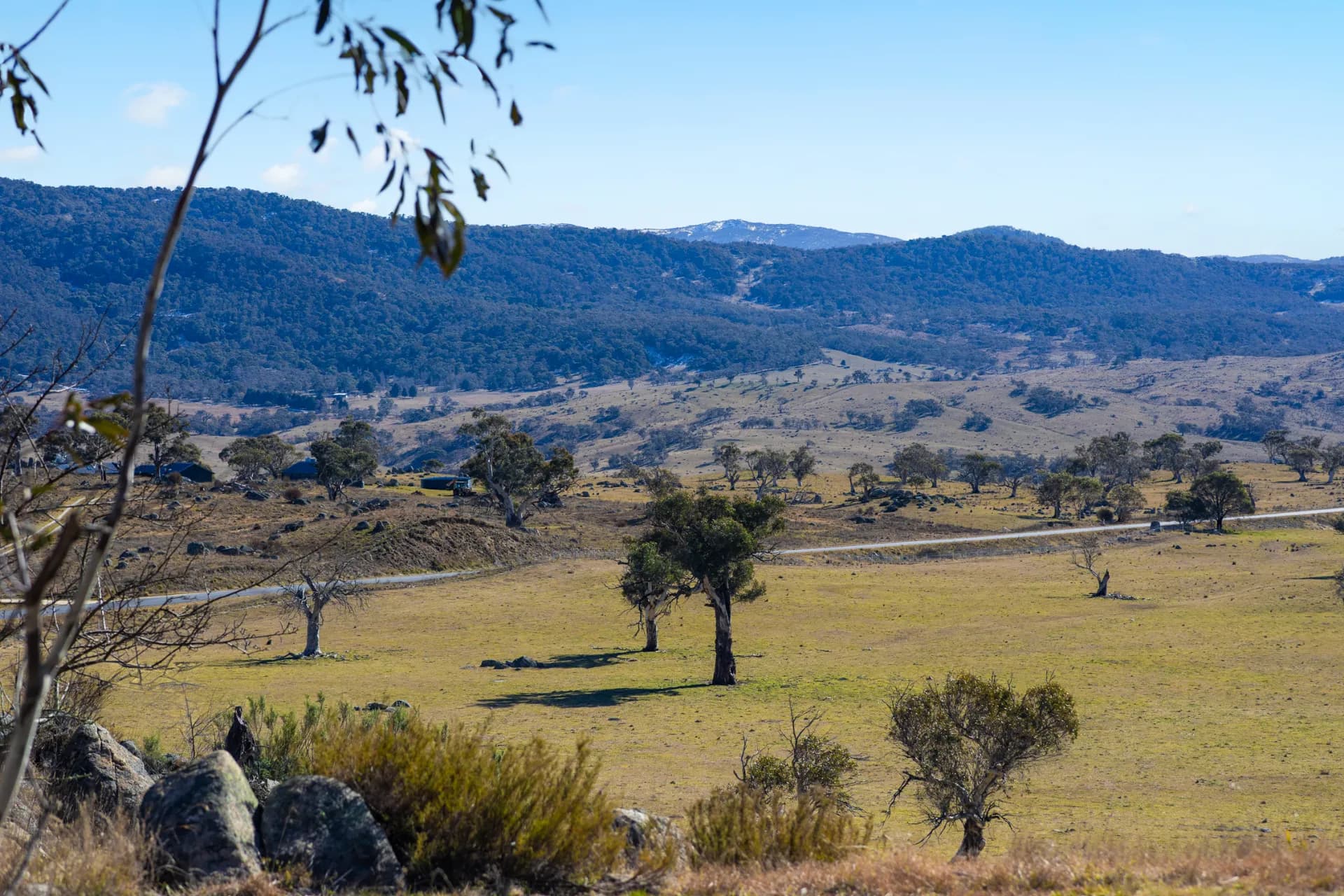 223 Gullies Road, Moonbah., Moonbah - Thumbnail 5