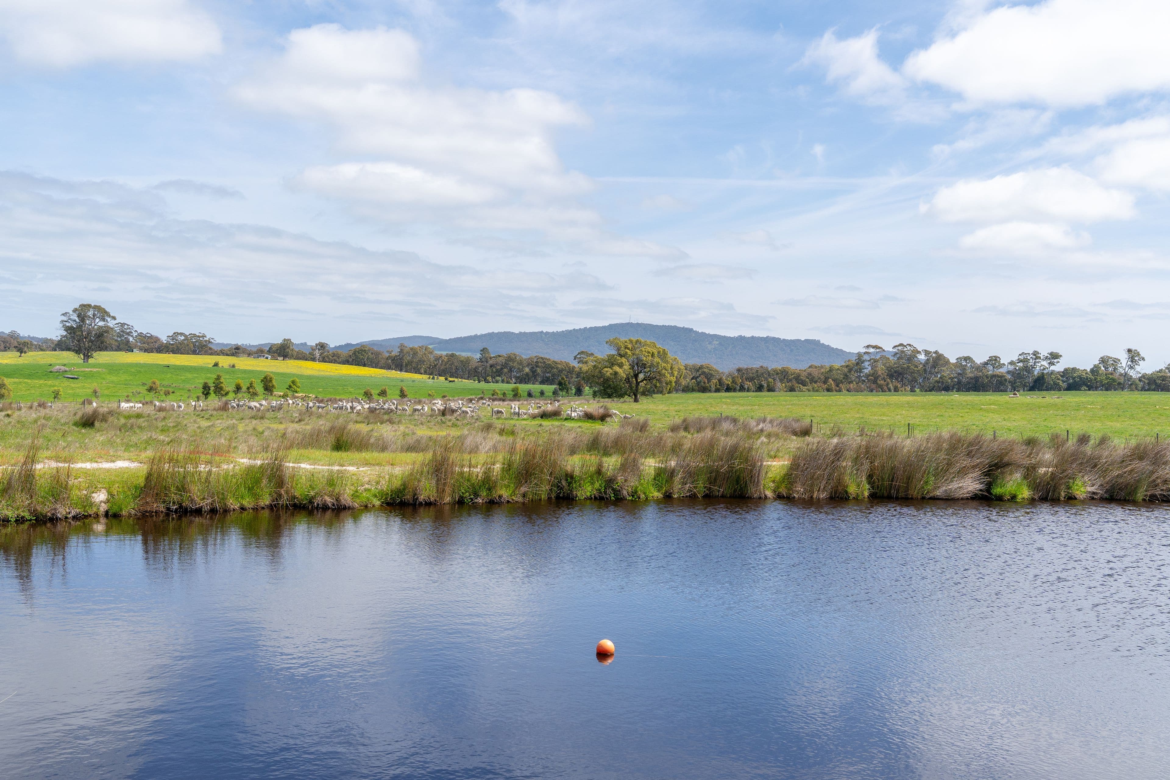 315 Coach Road, Strathbogie VIC 3666, Strathbogie - Image 1