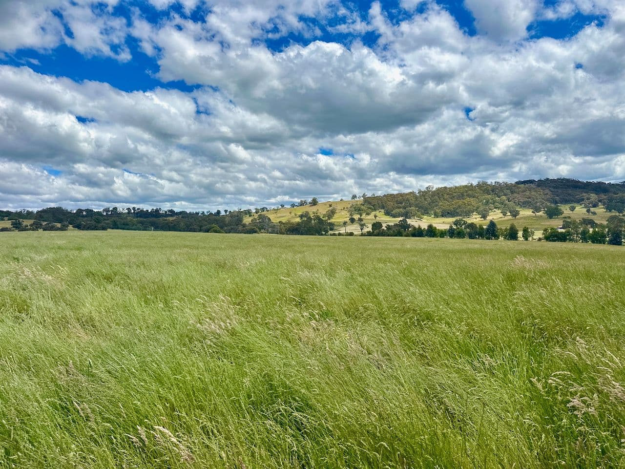 315 Coach Road, Strathbogie VIC 3666, Strathbogie - Thumbnail 4