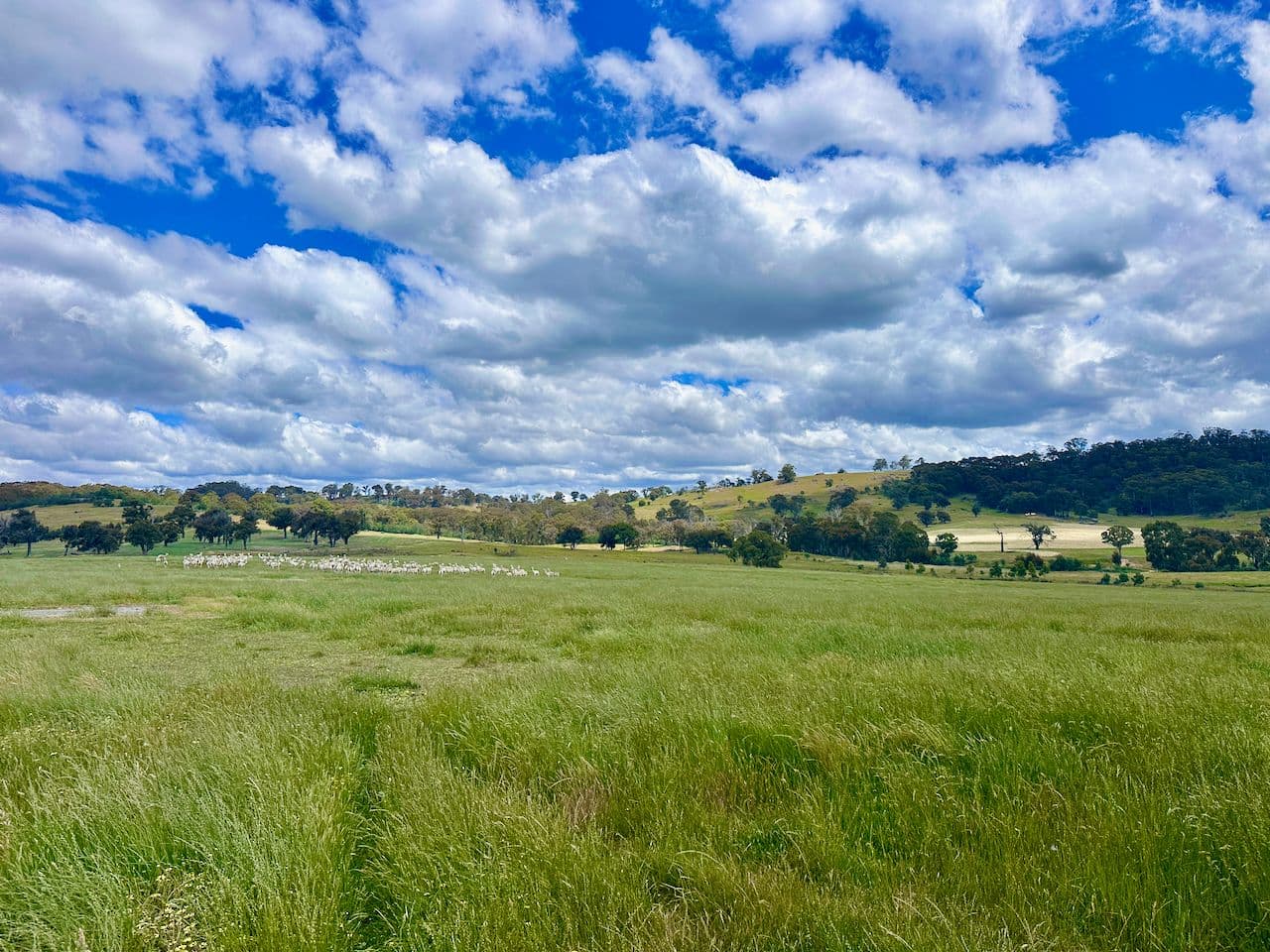 315 Coach Road, Strathbogie VIC 3666, Strathbogie - Thumbnail 5