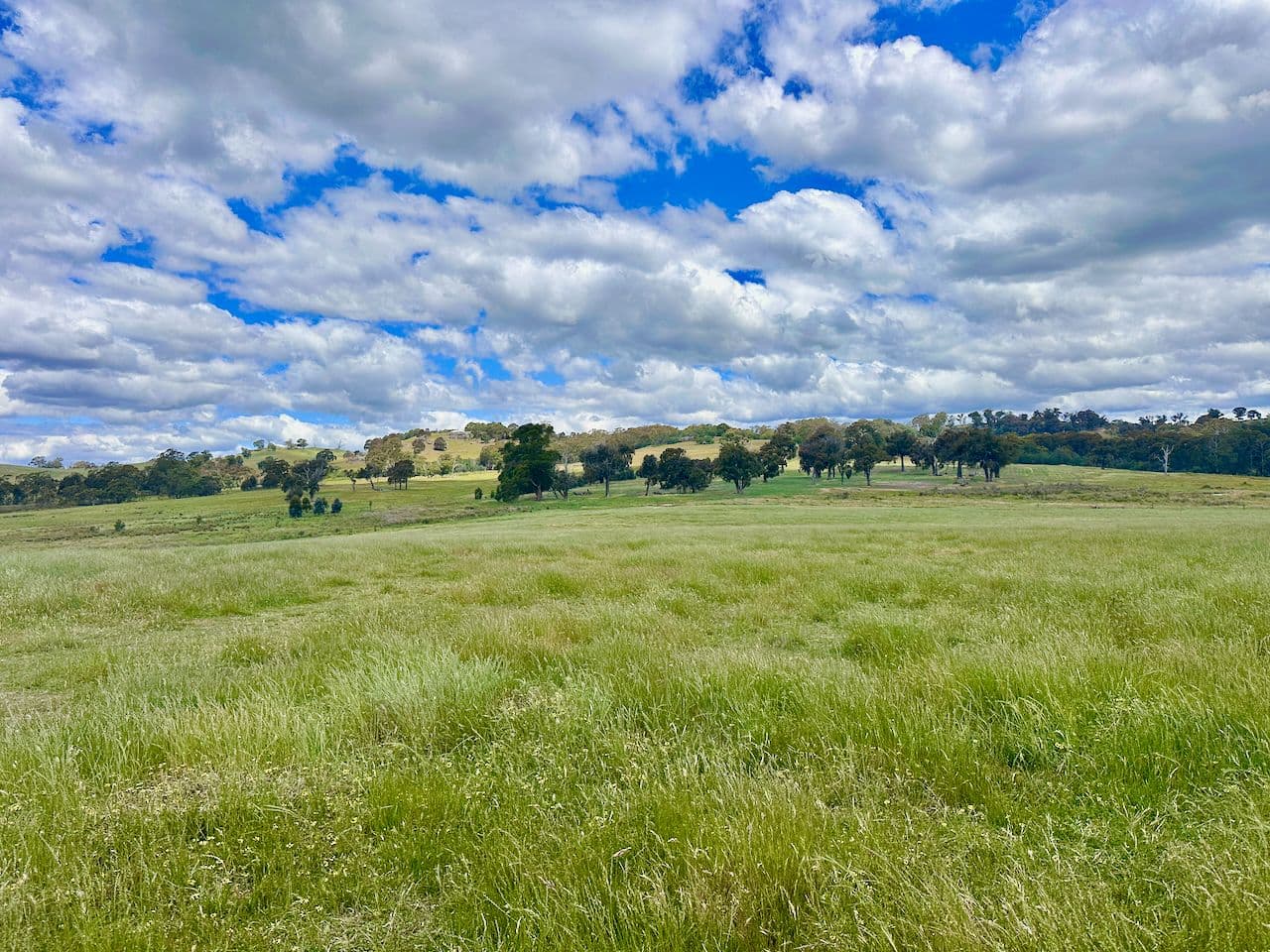 315 Coach Road, Strathbogie VIC 3666, Strathbogie - Thumbnail 6