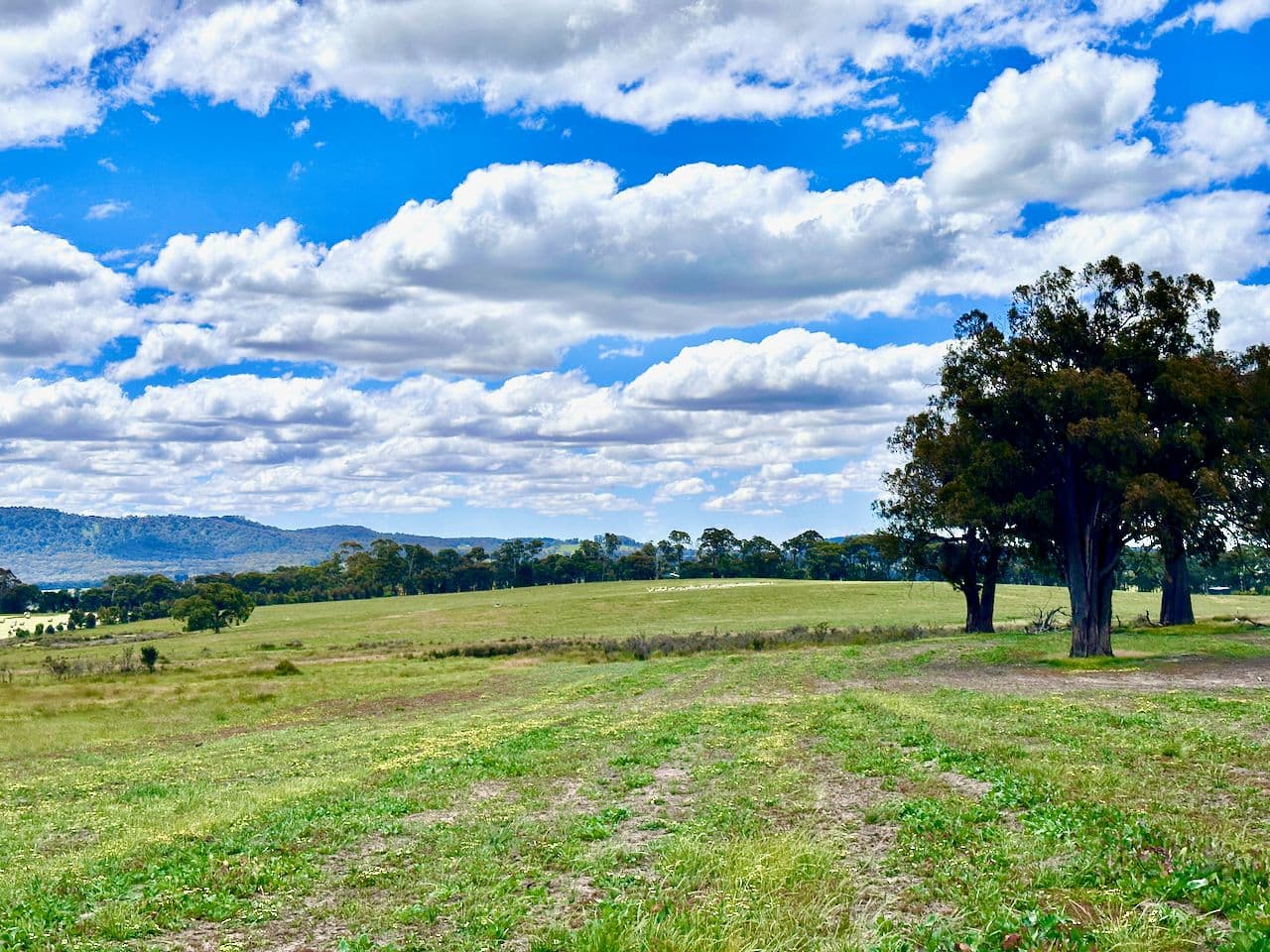 315 Coach Road, Strathbogie VIC 3666, Strathbogie - Thumbnail 7