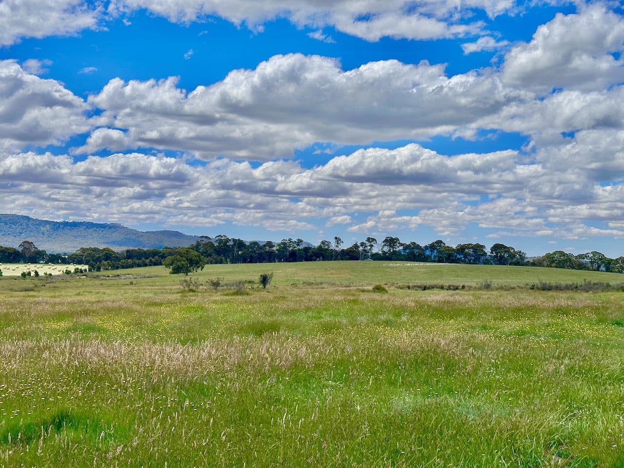 315 Coach Road, Strathbogie VIC 3666, Strathbogie - Thumbnail 8