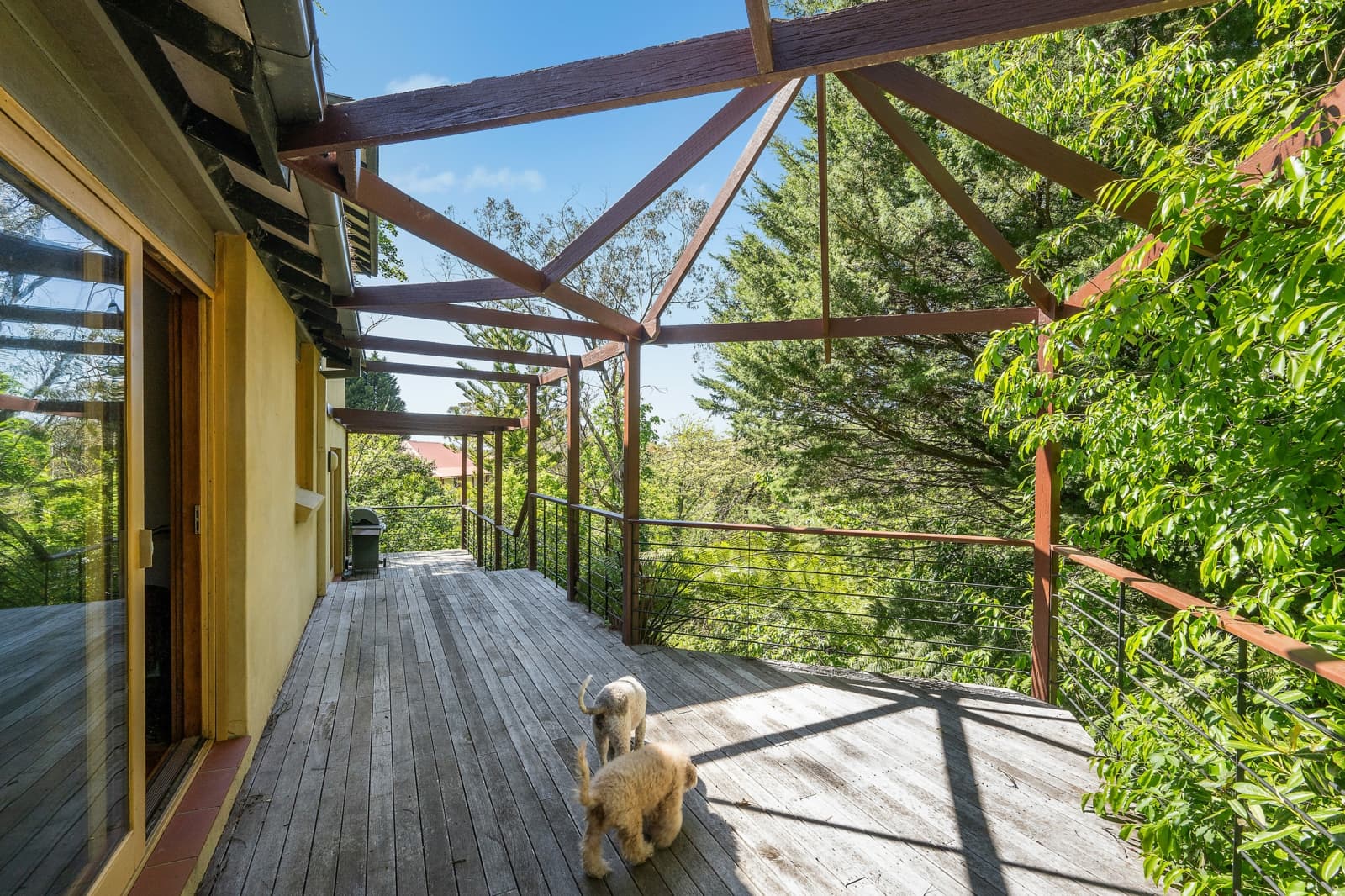 37-39 Kurrawang Street,Leura, Leura - Thumbnail 3