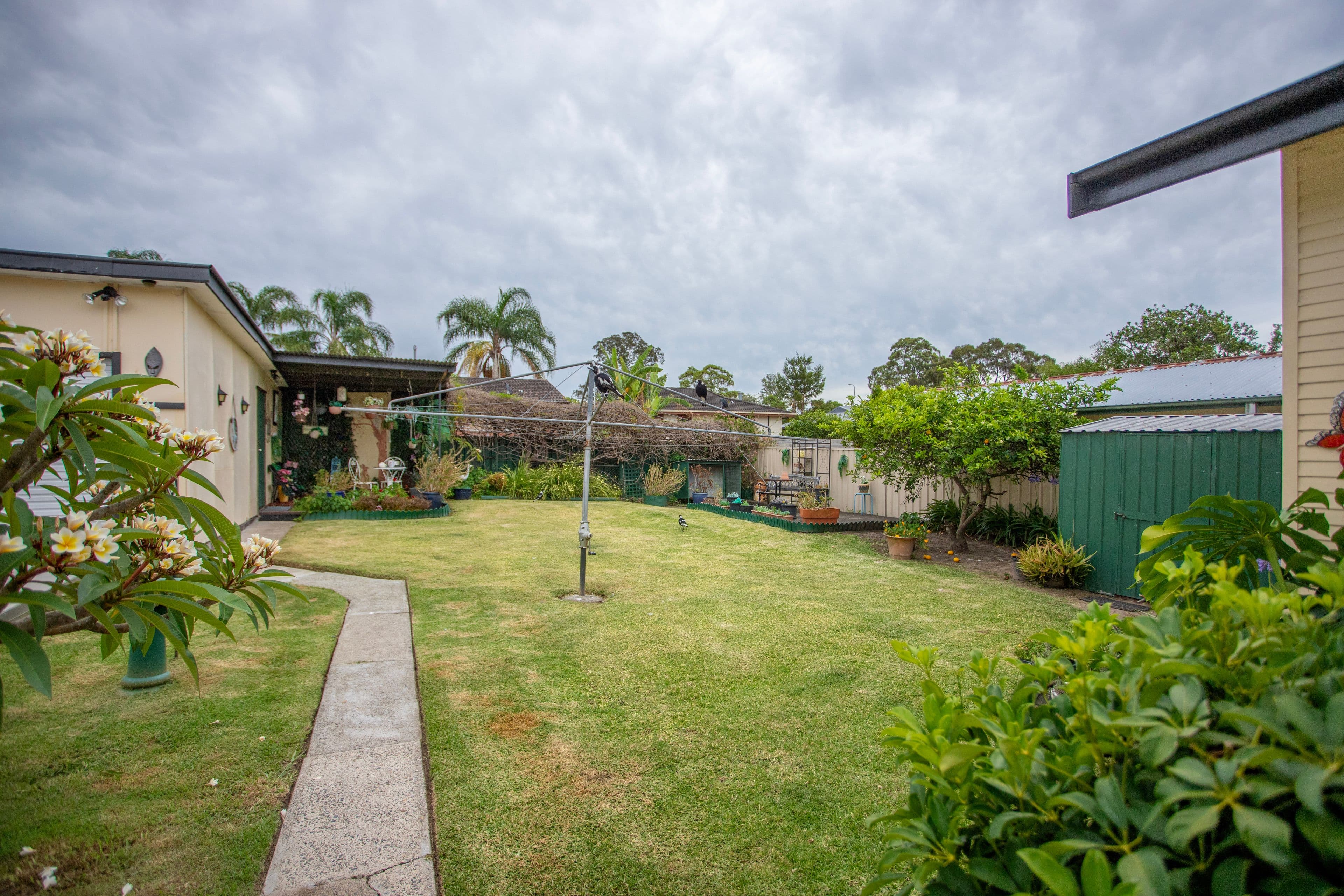 8 Ann Street, Taree NSW 2430, Taree - Thumbnail 6