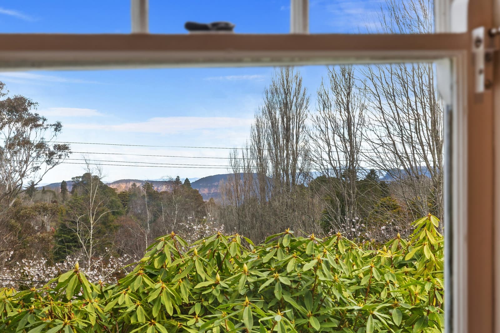 10 Lachlan Avenue,Leura, Leura - Thumbnail 5