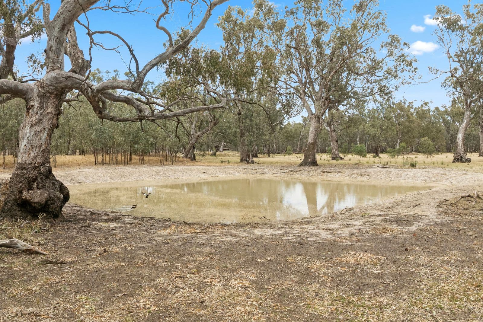 469 Bunganail Road, Wahring VIC 3608, Wahring - Thumbnail 3