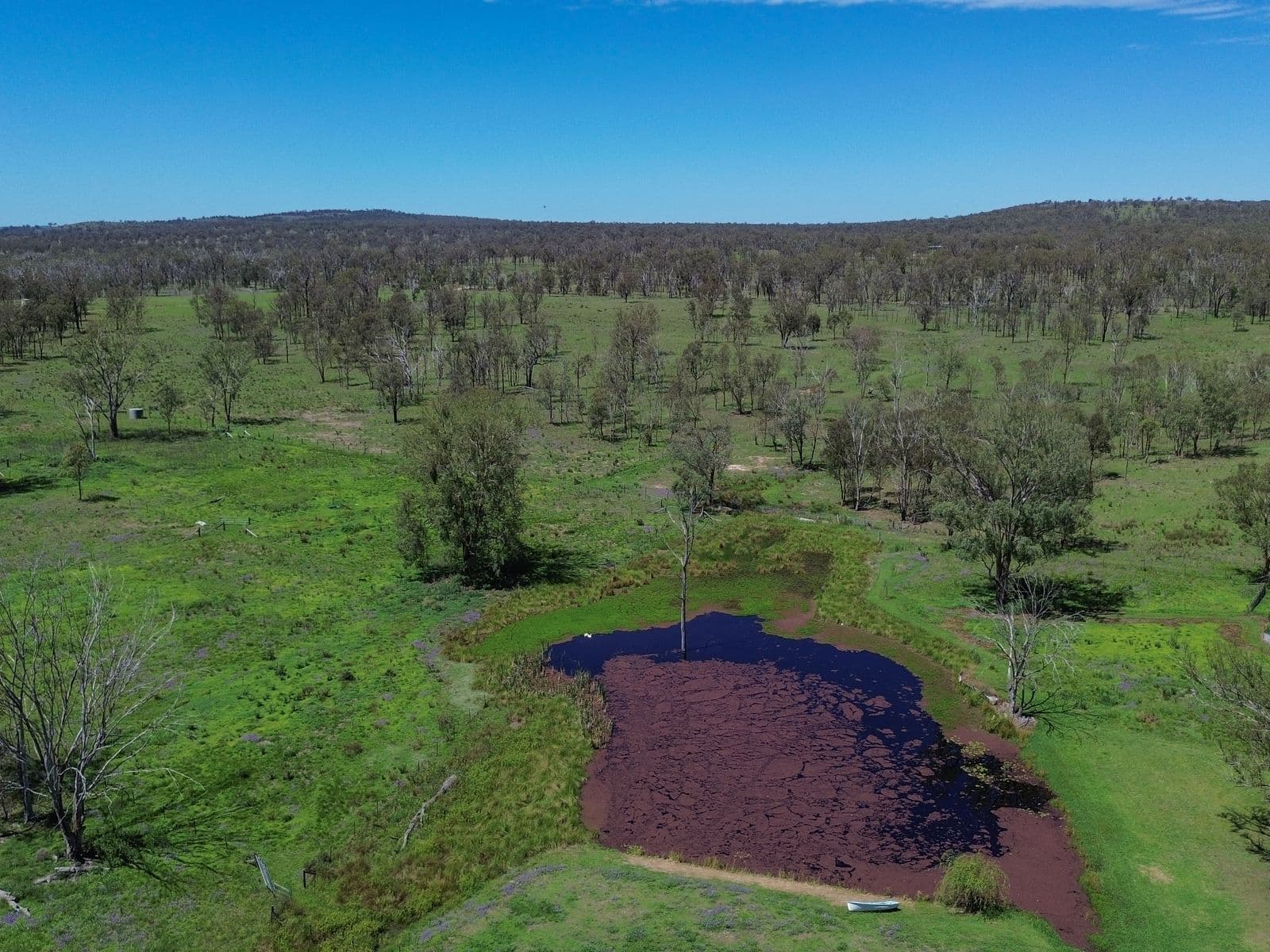 36 Webber Lane, Thanes Creek - Thumbnail 8