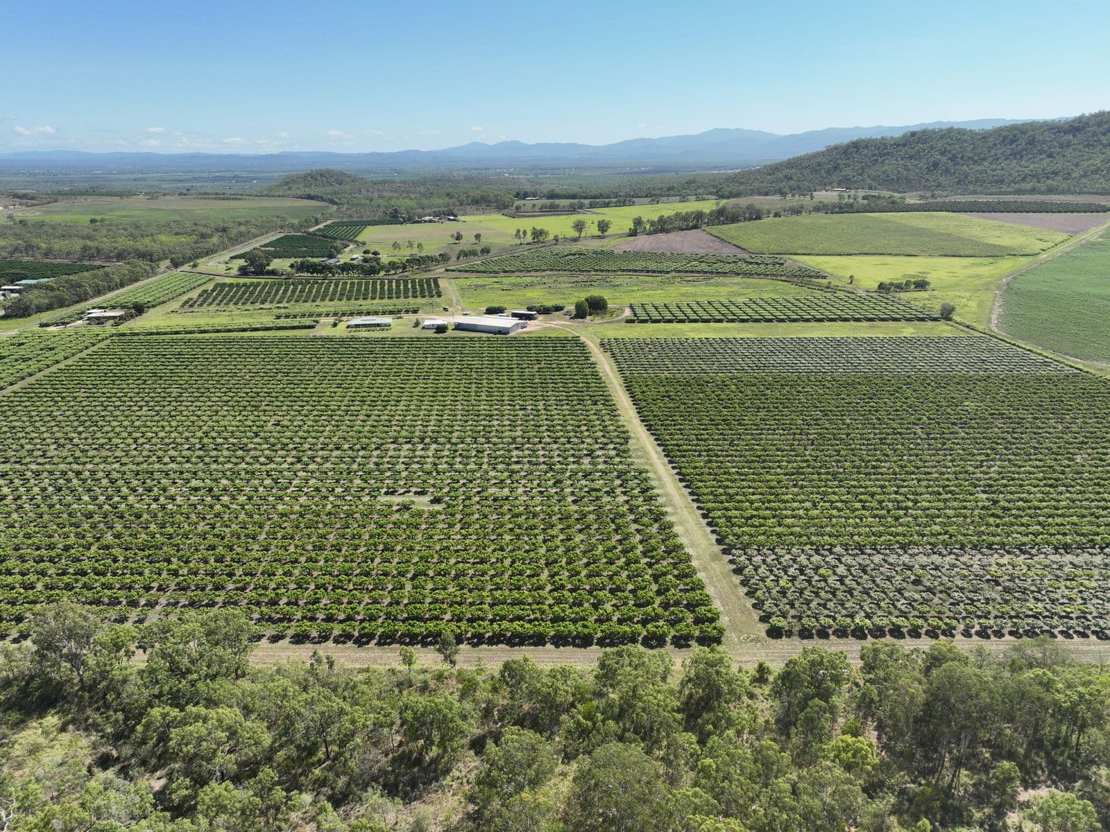 Chewko, QLD, 4880, Chewko - Thumbnail 3