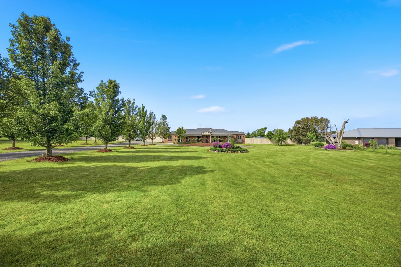 35 Duke Court,Smythes Creek, Smythes Creek - Thumbnail 5