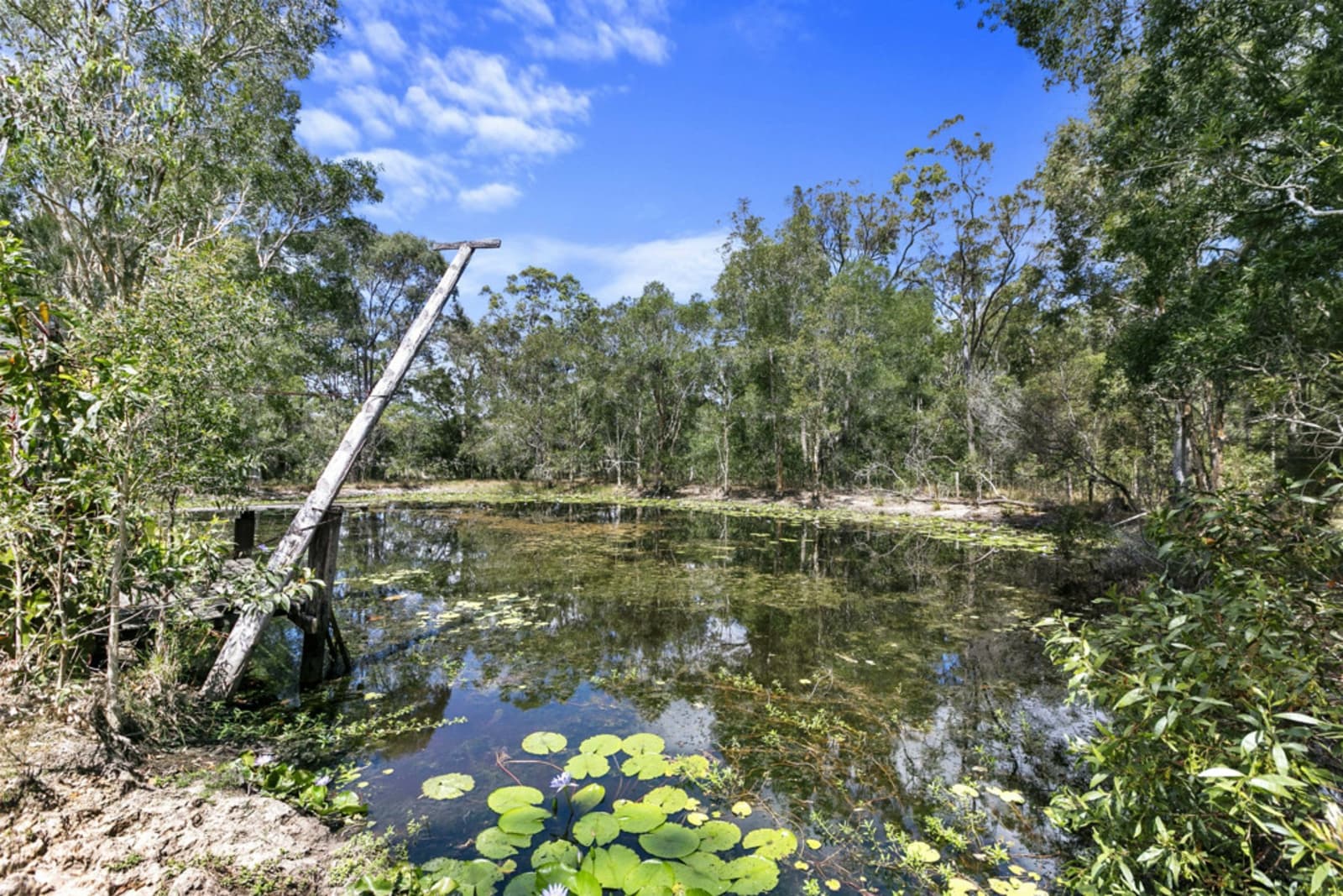 51 Old Coach Road, OAKHURST, Oakhurst - Thumbnail 4