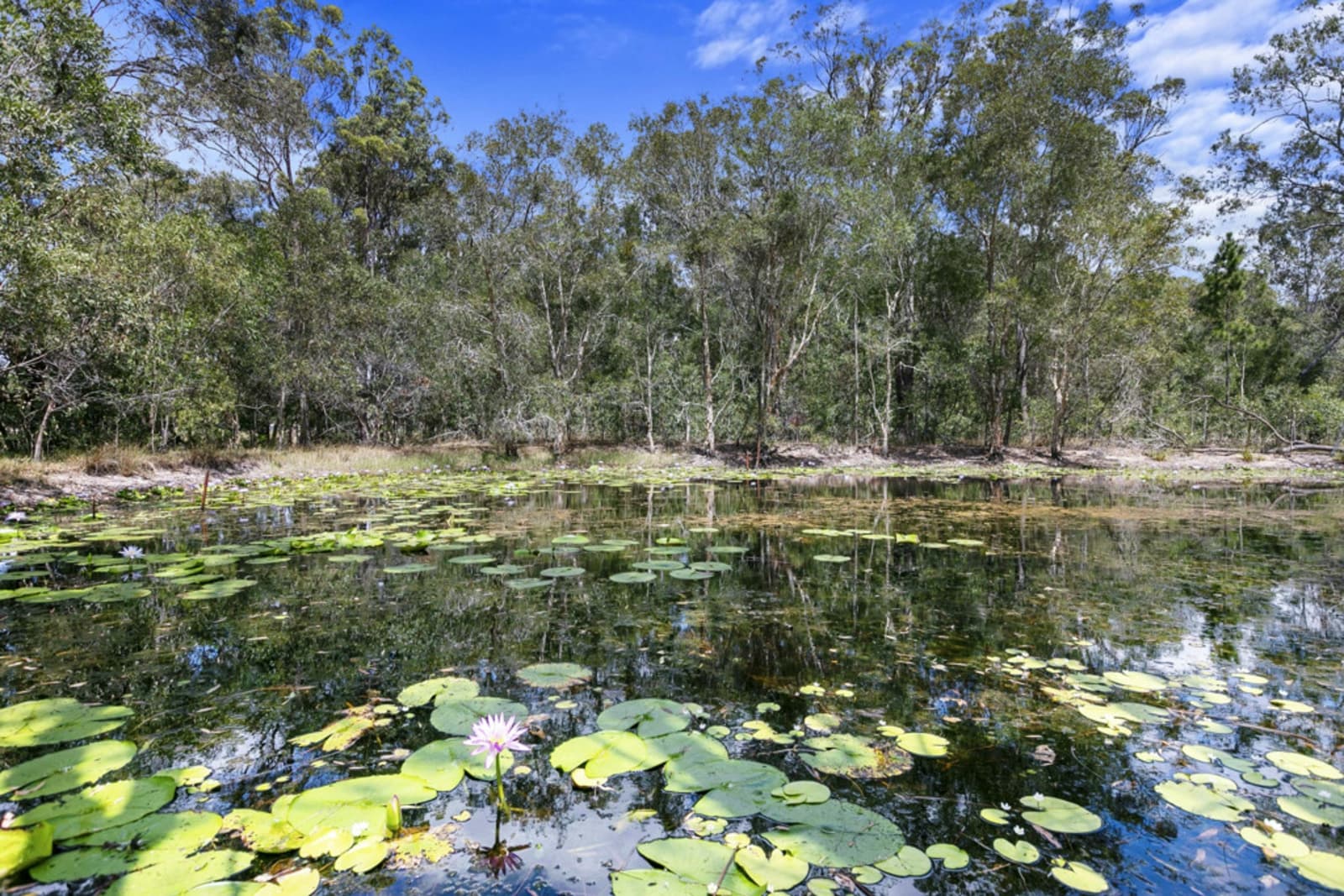 51 Old Coach Road, OAKHURST, Oakhurst - Thumbnail 5