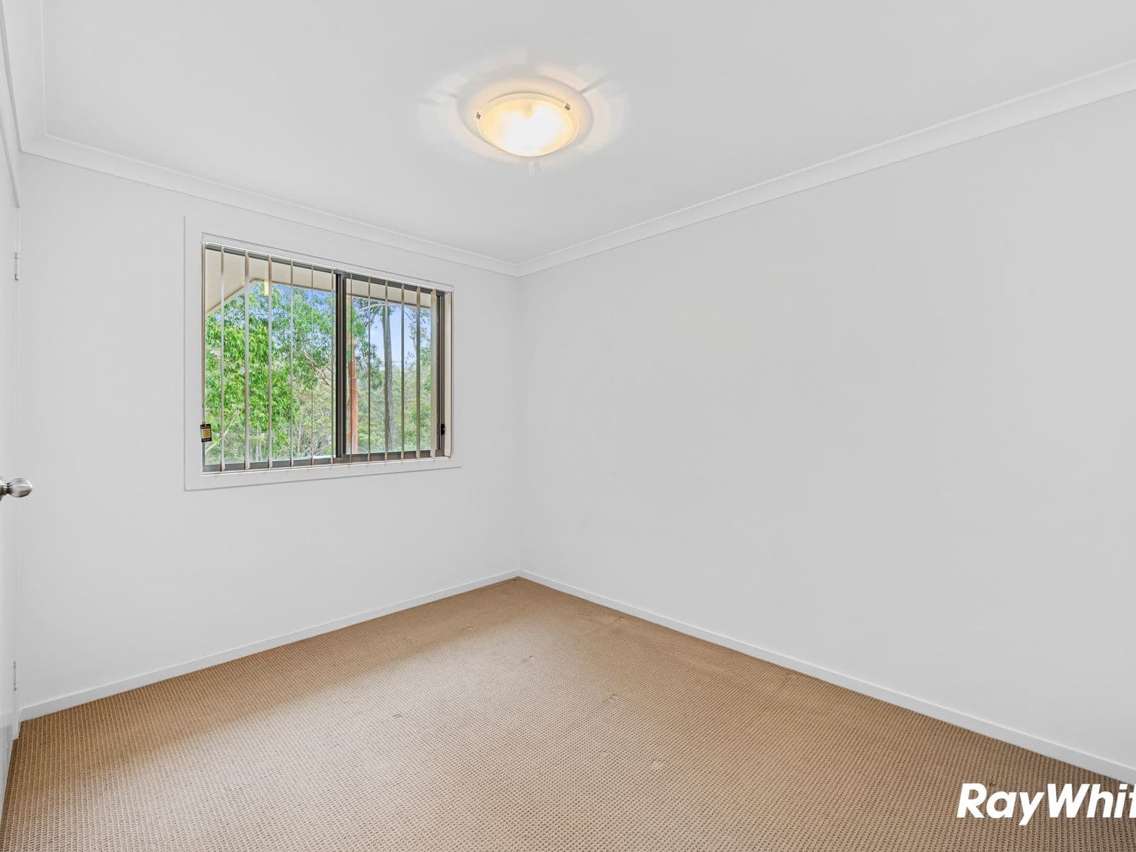 26 Freycinet Drive, Sunshine Bay - Thumbnail 8