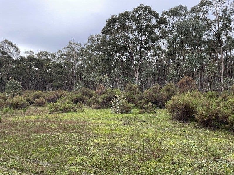 _ CA's 32, 33A, 34 & Lot 1 Off Gunyah Track, Wellsford VIC 3551, Wellsford - Image 1