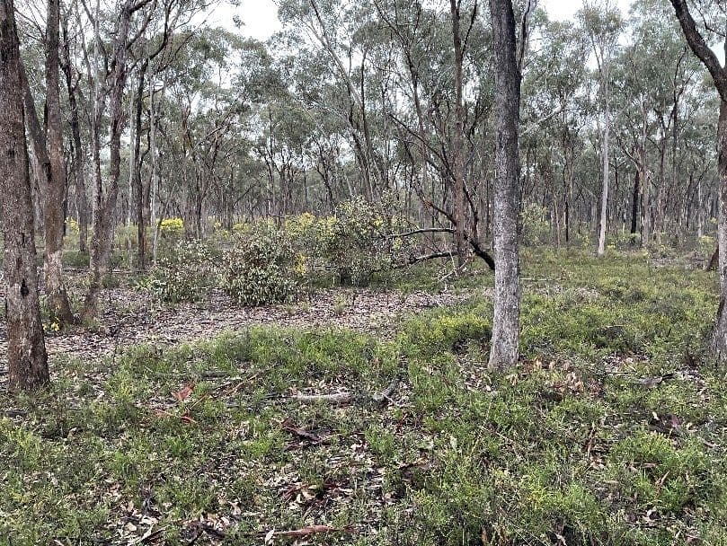 _ CA's 32, 33A, 34 & Lot 1 Off Gunyah Track, Wellsford VIC 3551, Wellsford - Thumbnail 2