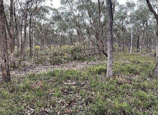 _ CA's 32, 33A, 34 & Lot 1 Off Gunyah Track, Wellsford VIC 3551, Wellsford - Thumbnail 4
