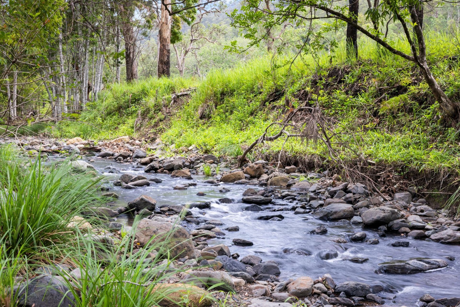 737 Smiths Creek Road, Smiths Creek - Thumbnail 2