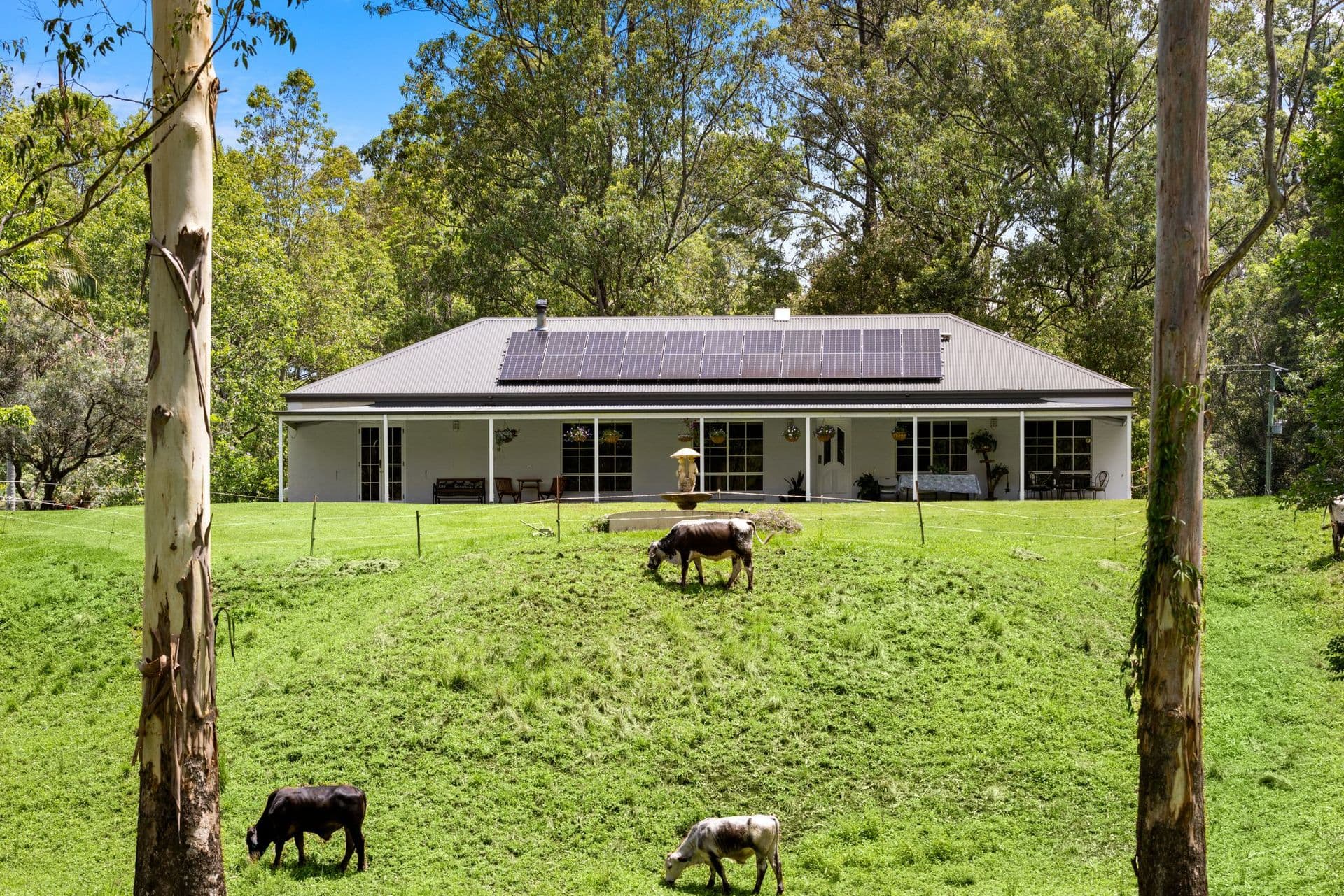 737 Smiths Creek Road, Smiths Creek - Thumbnail 4