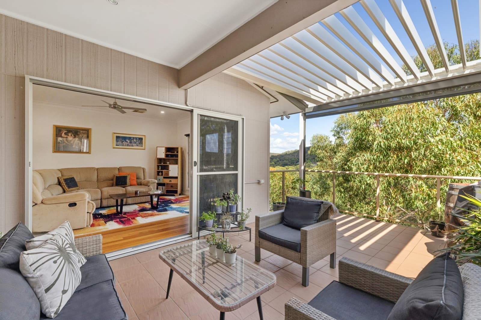 33 Olive Avenue,Phegans Bay, Phegans Bay - Thumbnail 5