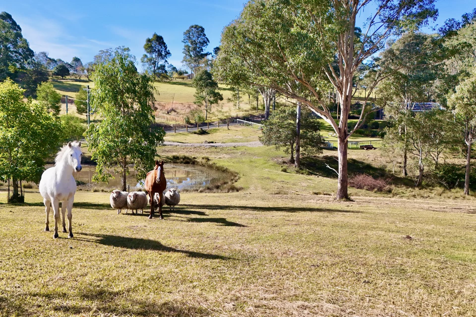 484B Comleroy Road, Kurrajong - Thumbnail 2