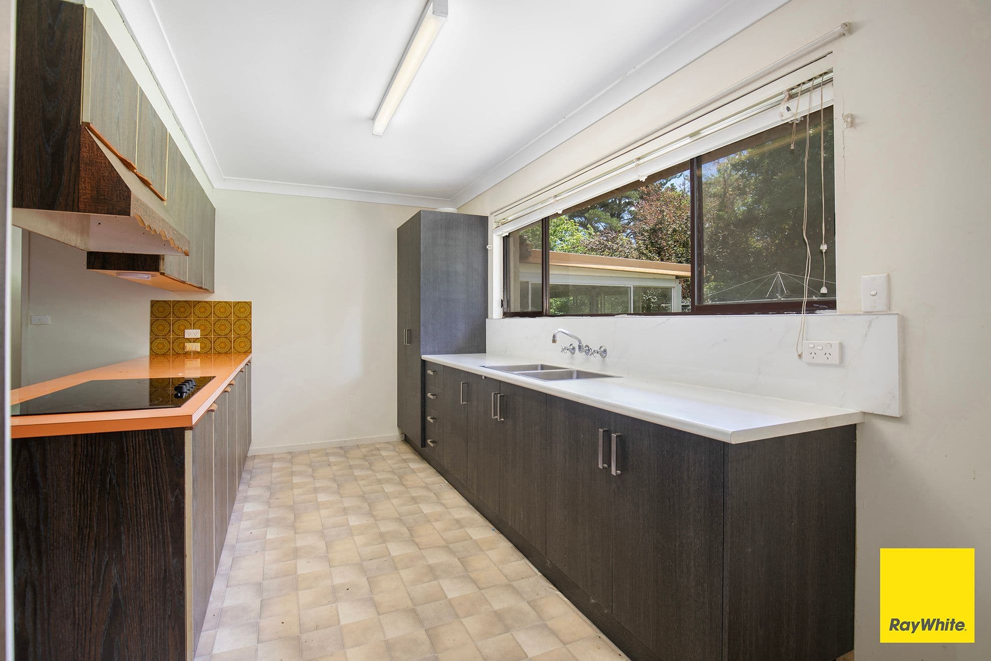 20 Pine Avenue, Armidale NSW 2350, Saumarez - Thumbnail 4