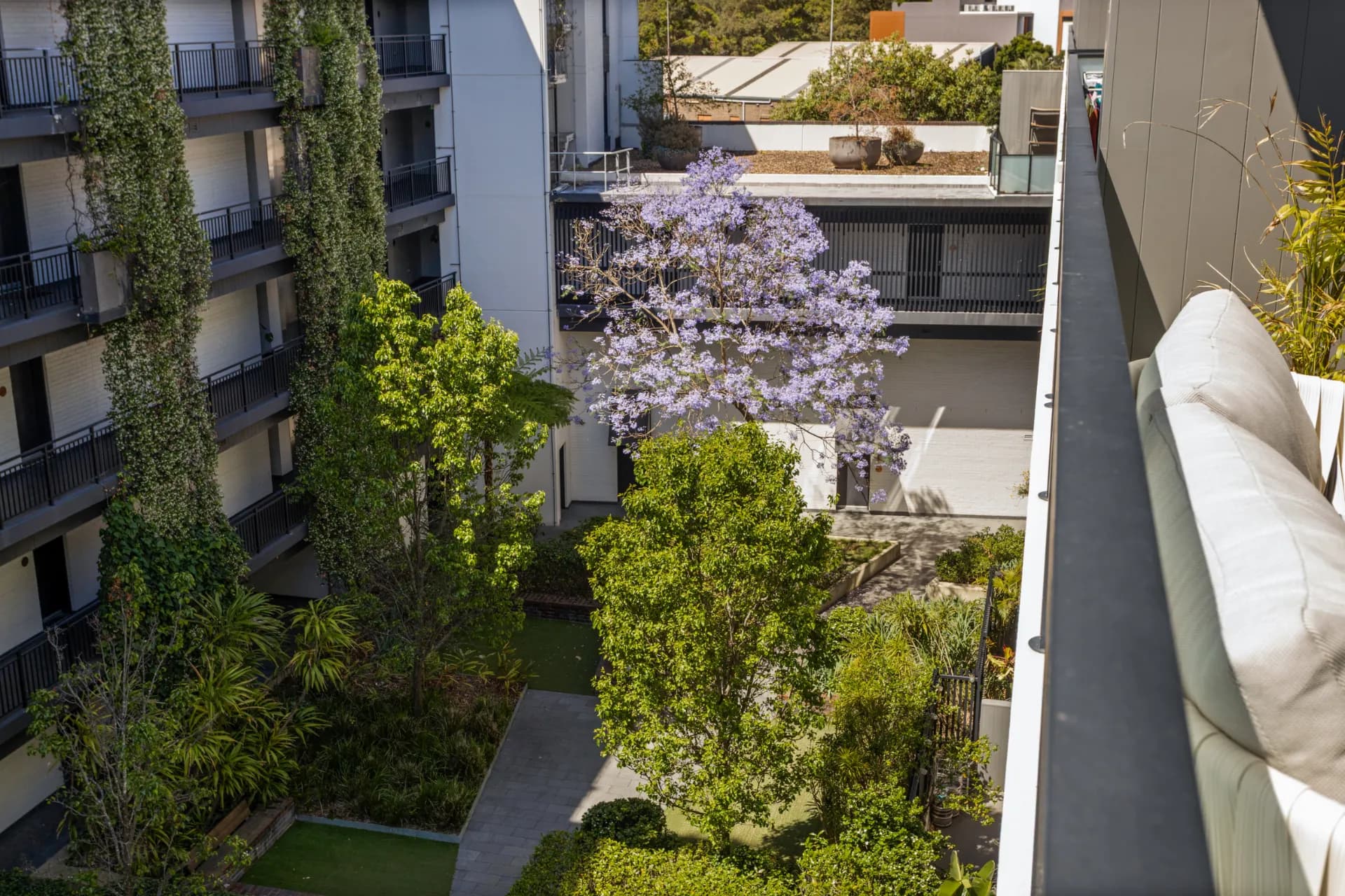 40D/356-368 George Street, Waterloo, NSW, Waterloo - Thumbnail 3