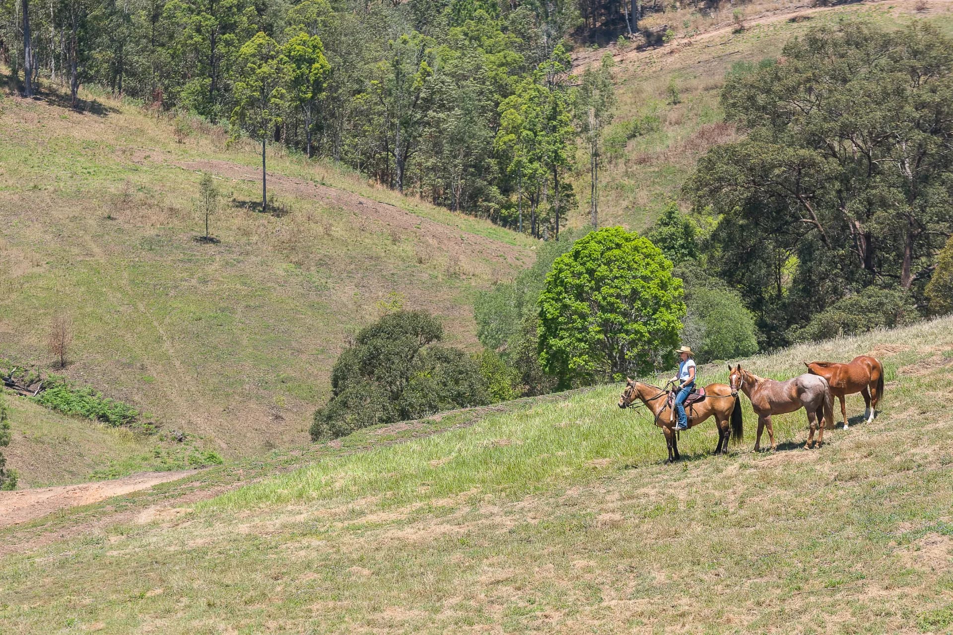 673 Laceys Creek Road, Laceys Creek - Thumbnail 5